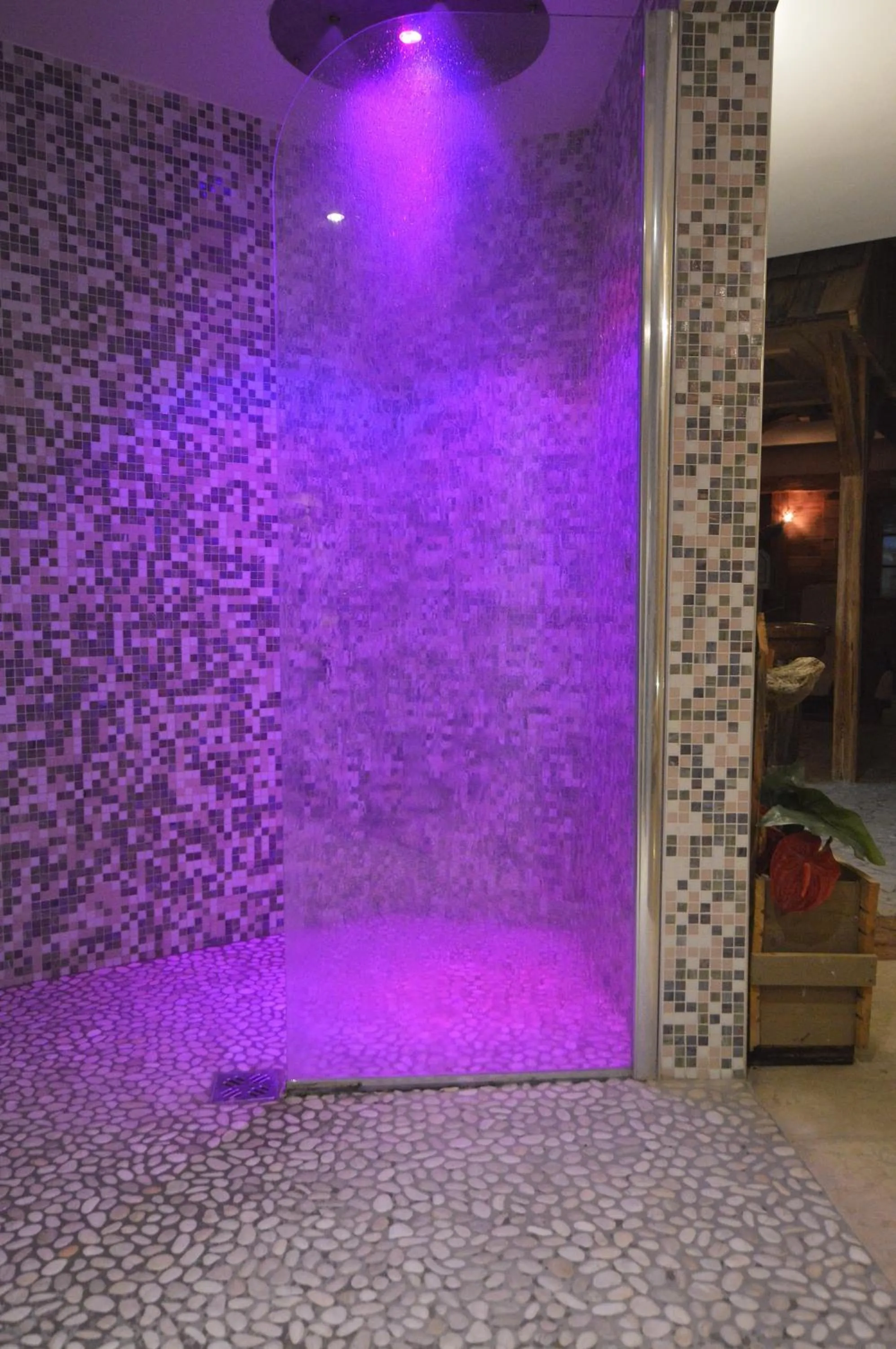 Spa and wellness centre/facilities in Hotel Villa Fosine