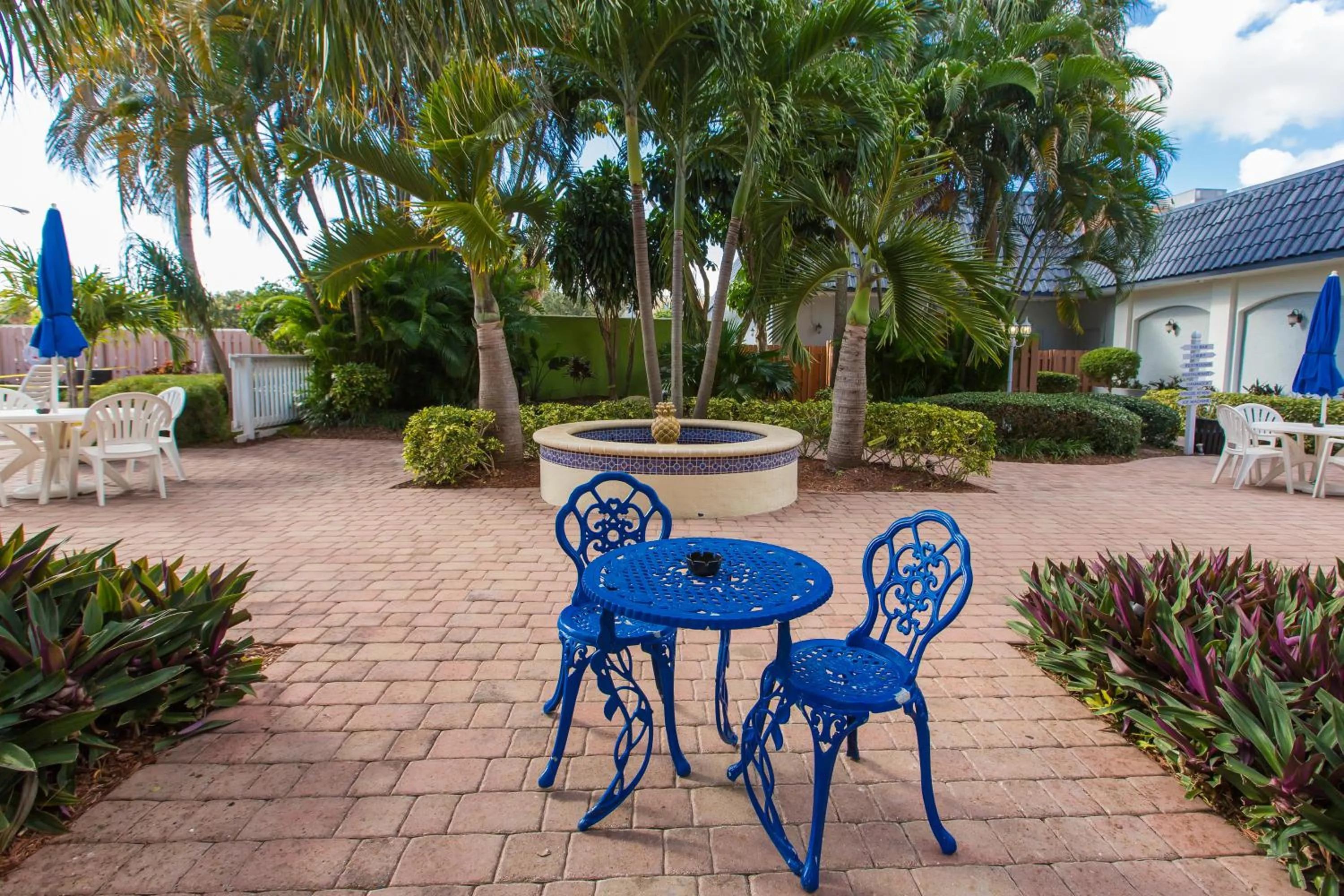 Garden in Plaza Hotel Fort Lauderdale