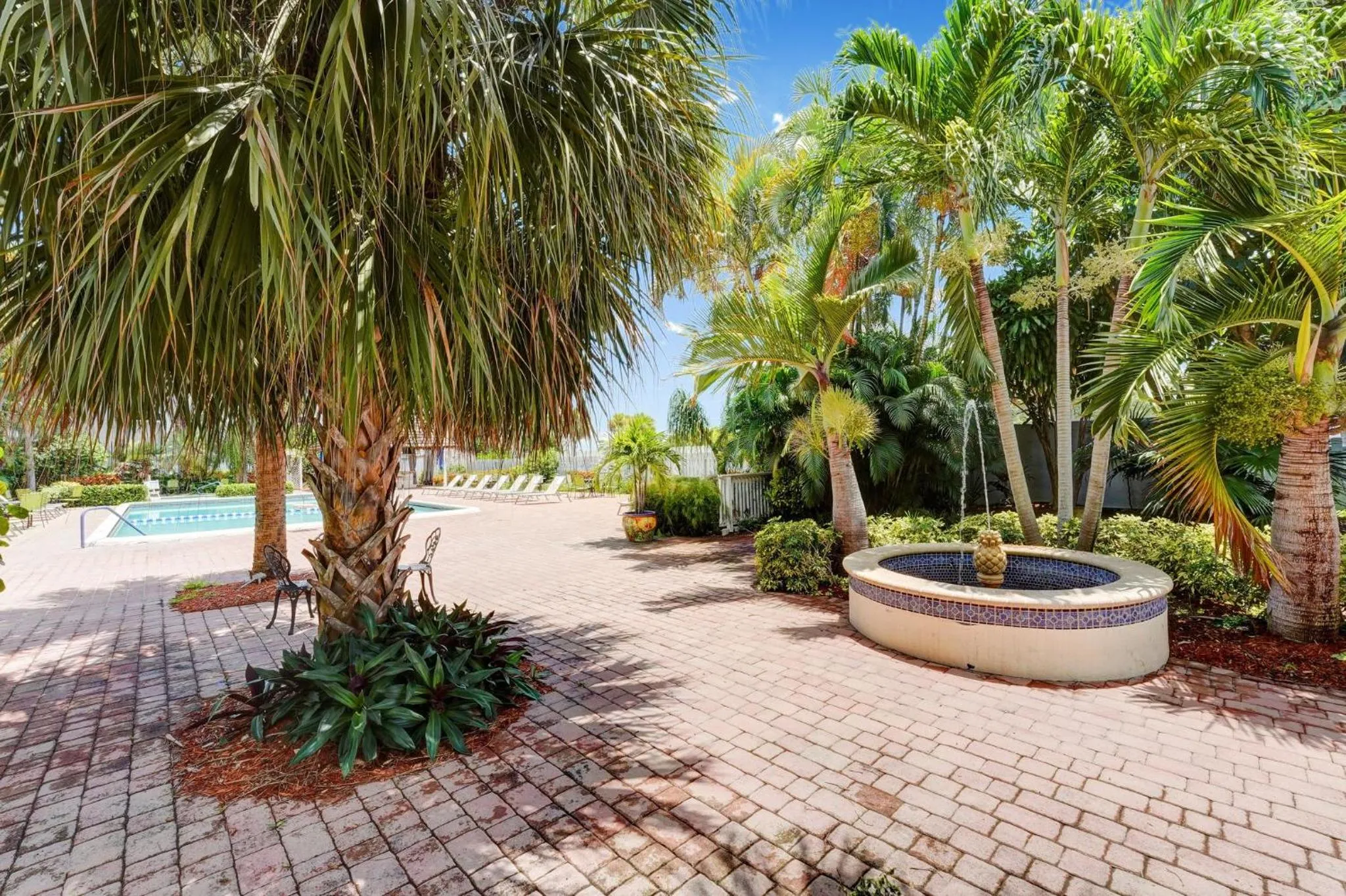 Swimming pool in Plaza Hotel Fort Lauderdale