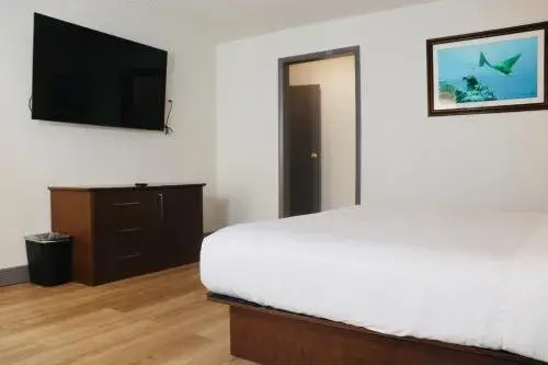 Plaza Hotel Fort Lauderdale Plaza Hotel Fort Lauderdale