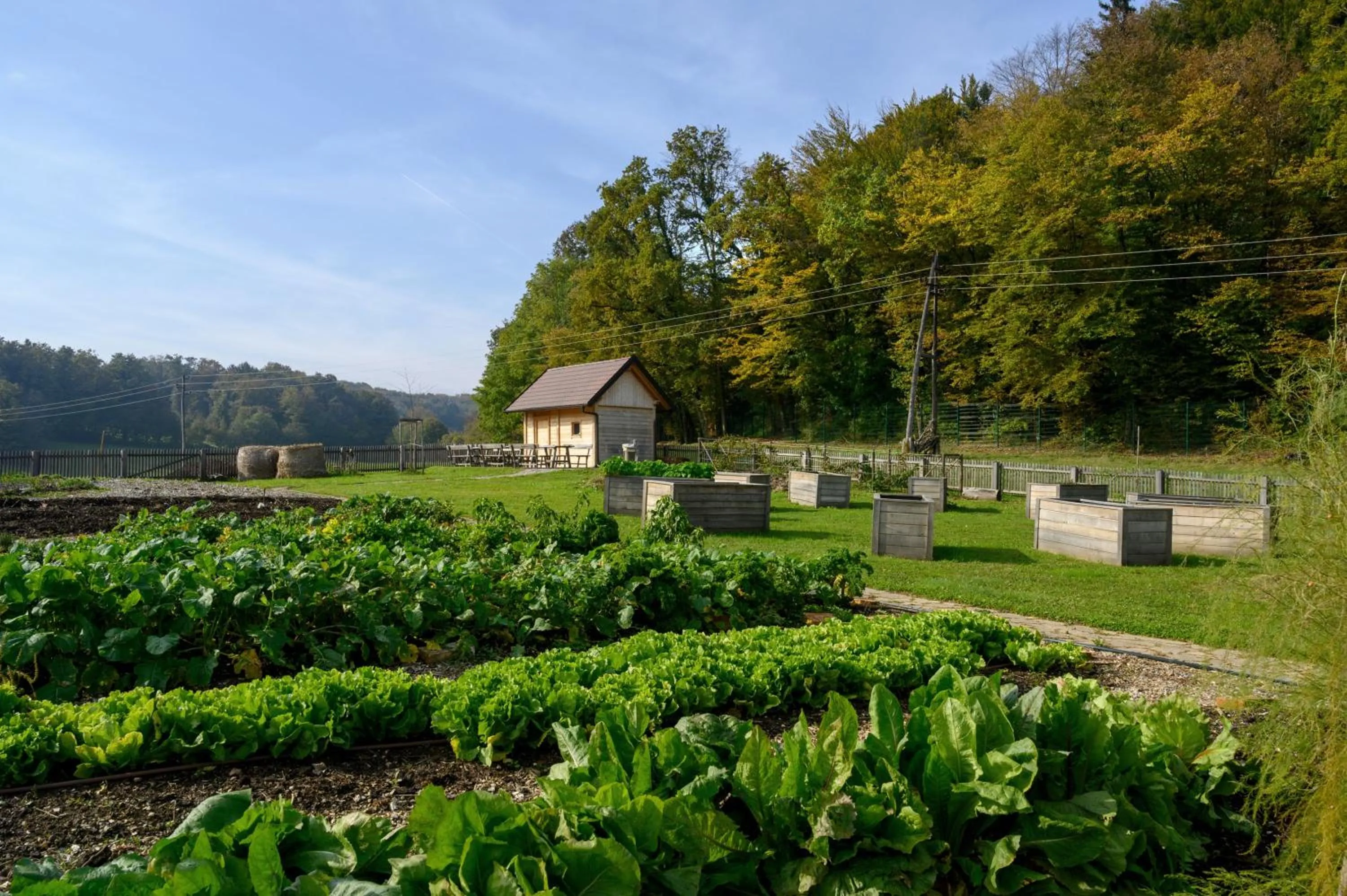 Garden in Hotel Grad Otočec - Relais Chateaux