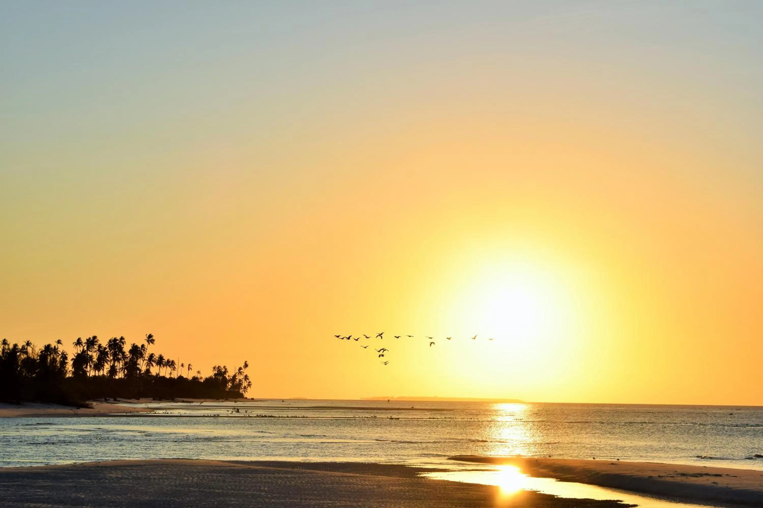 Juani beach bungalows