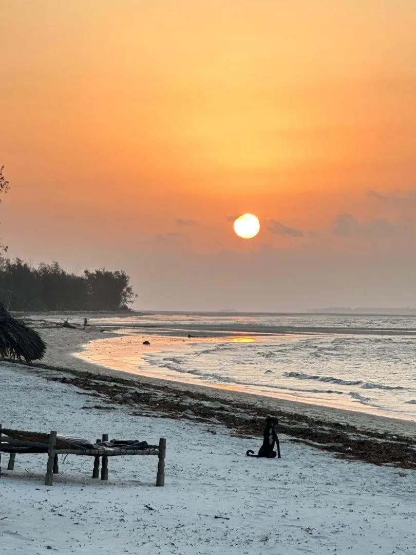 Juani beach bungalows