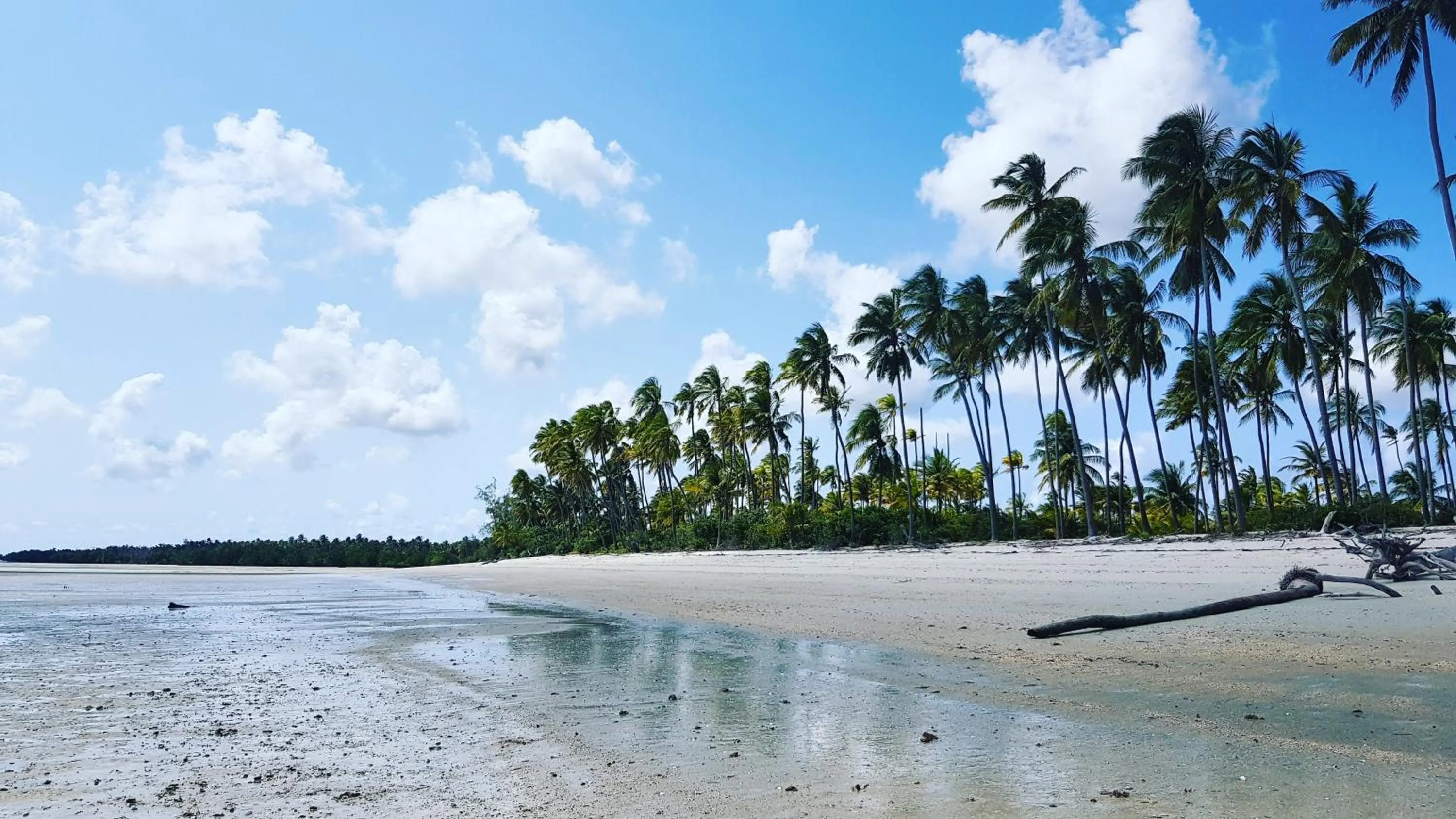 Juani beach bungalows