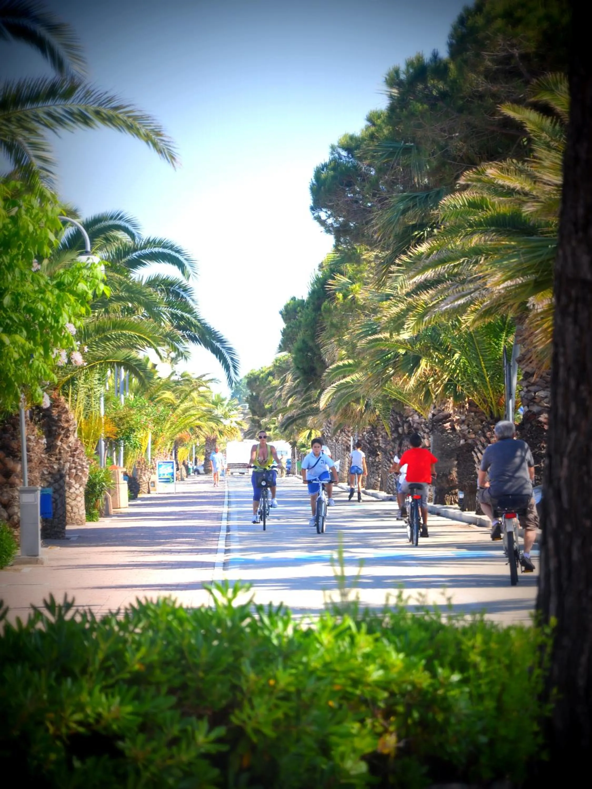 Area and facilities in Hotel Beach