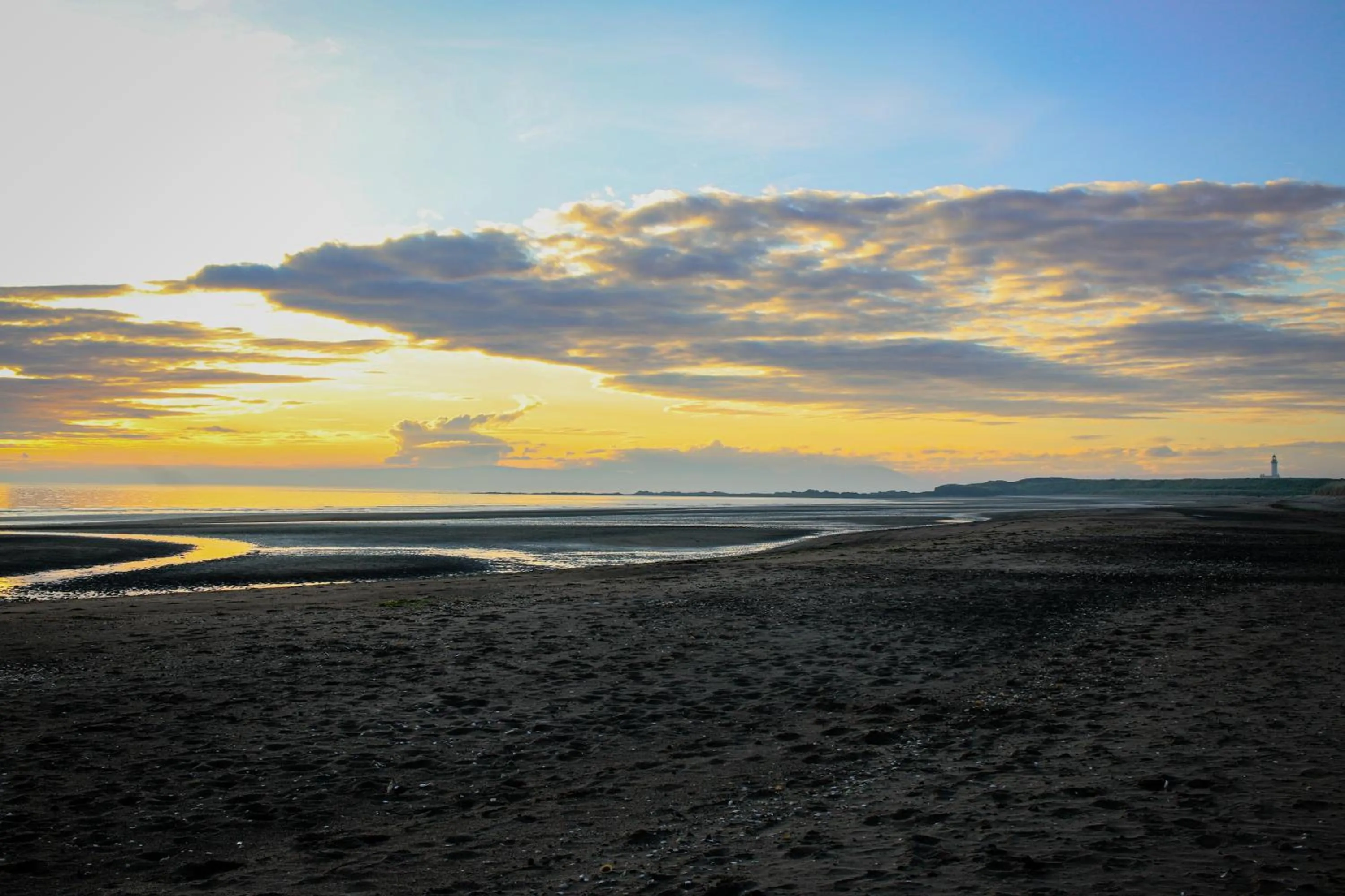 Natural landscape in Turnberry Apartments