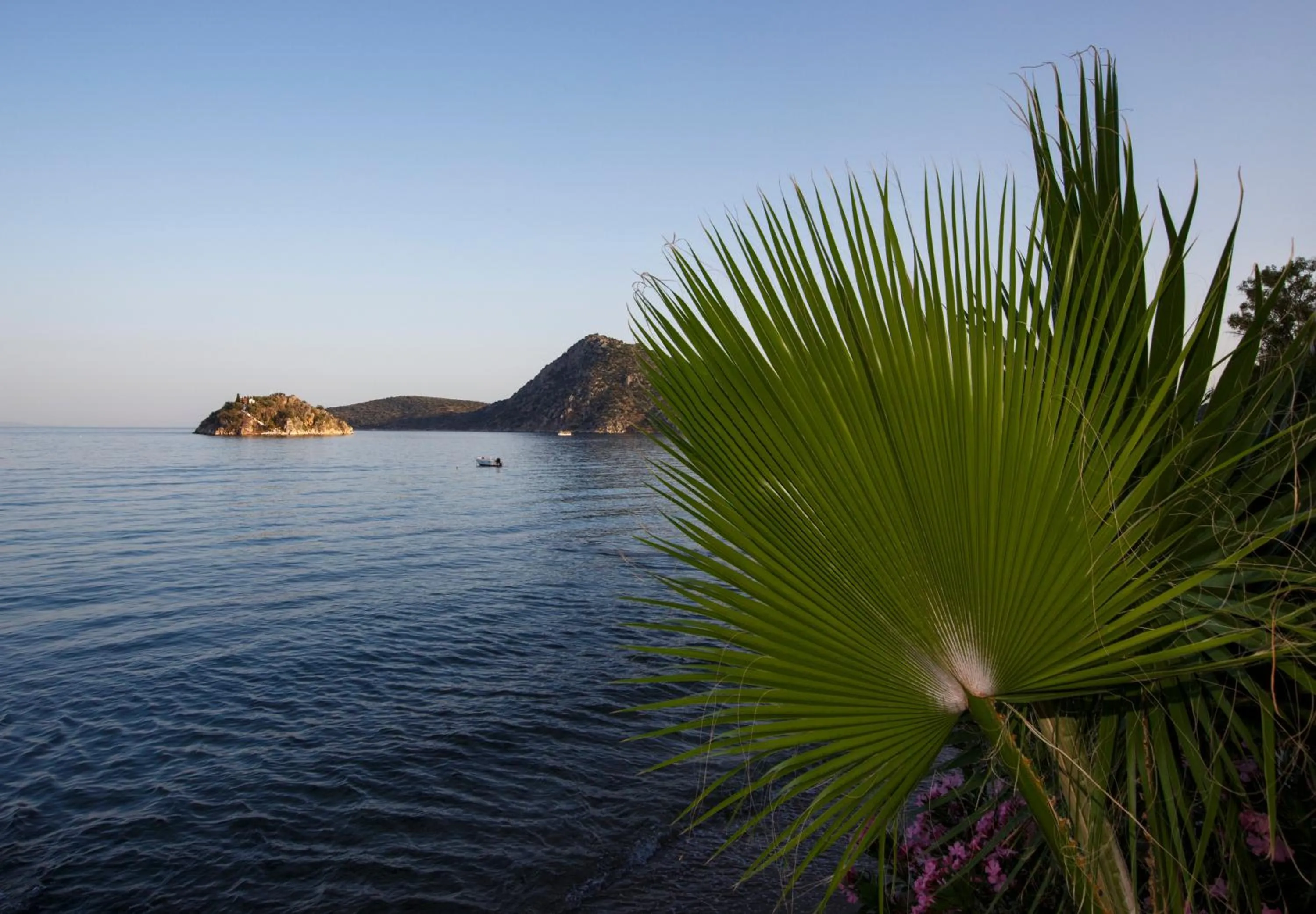 View (from property/room) in Hotel Tolo