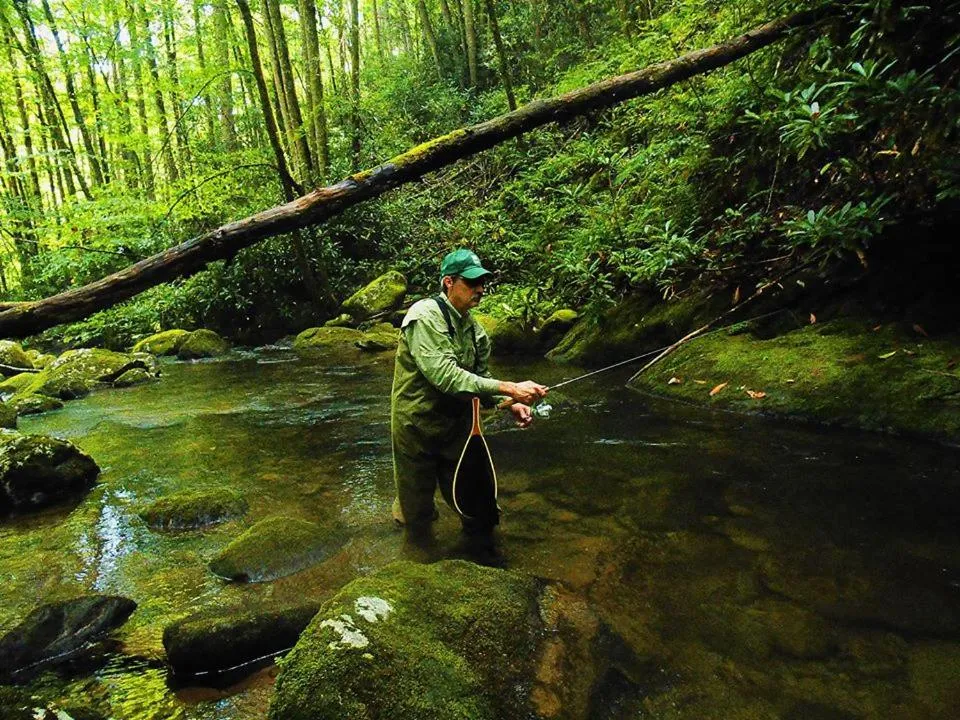 Fishing in The Junction