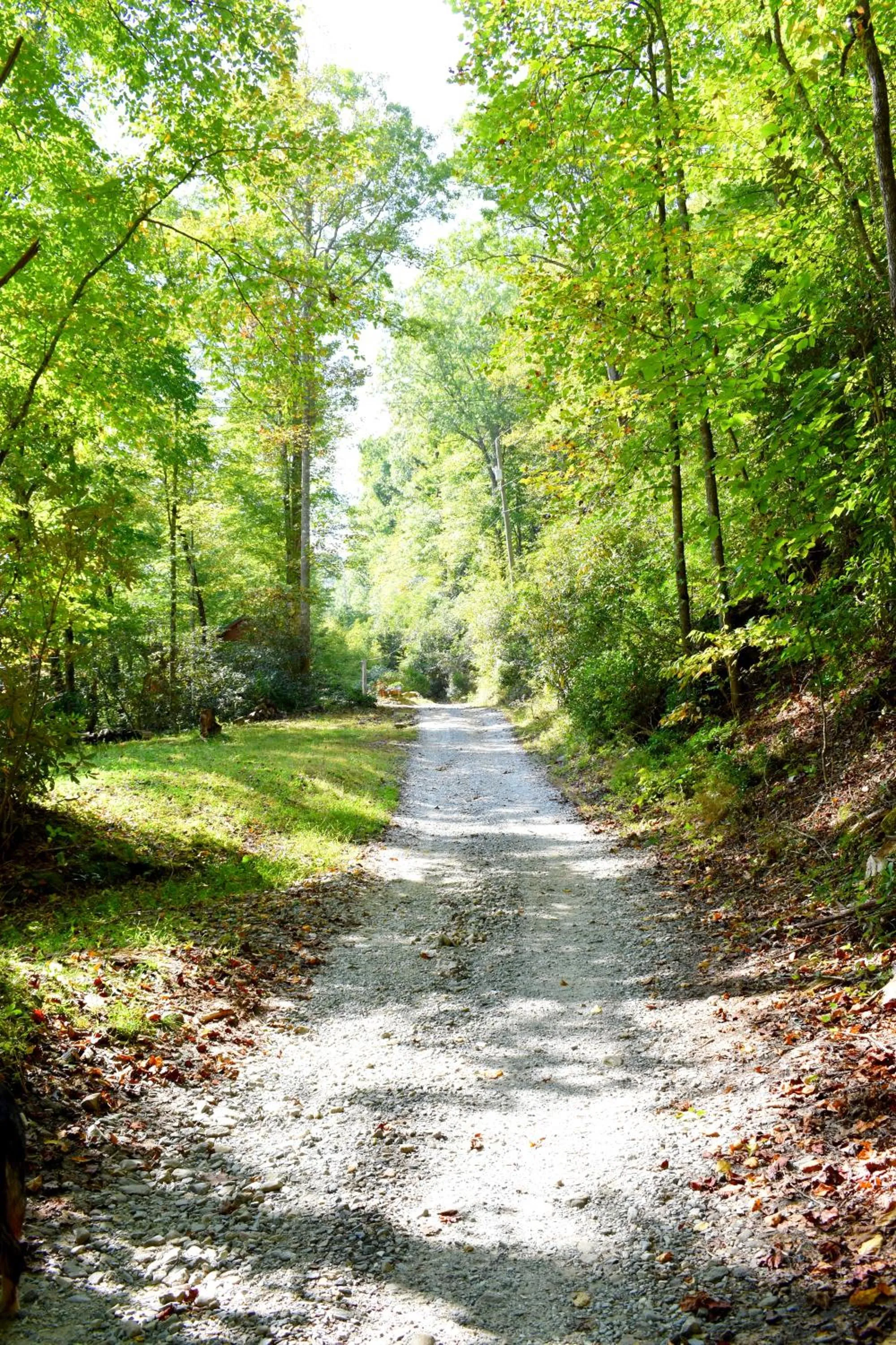 Natural landscape in The Junction