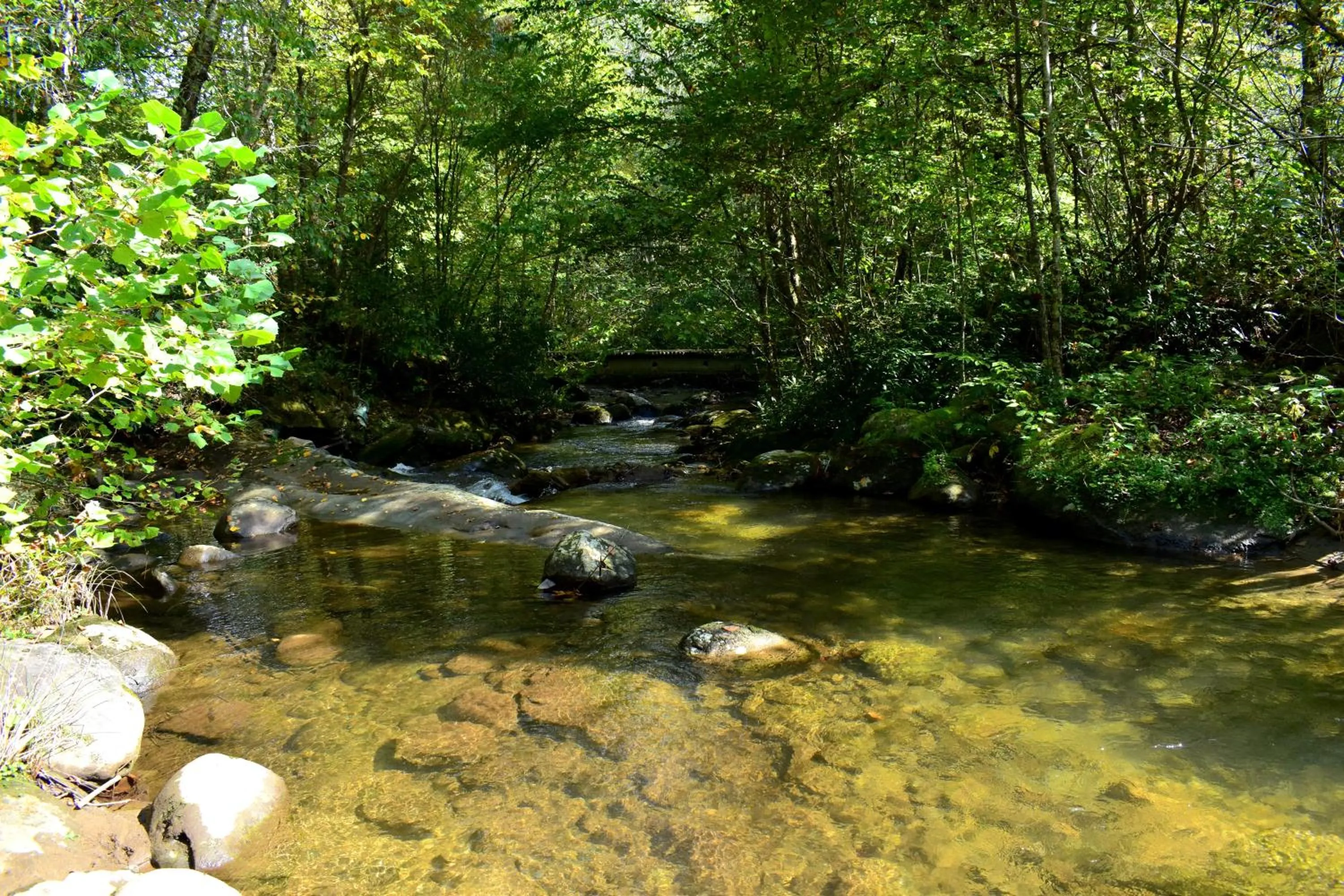 Neighbourhood in The Junction