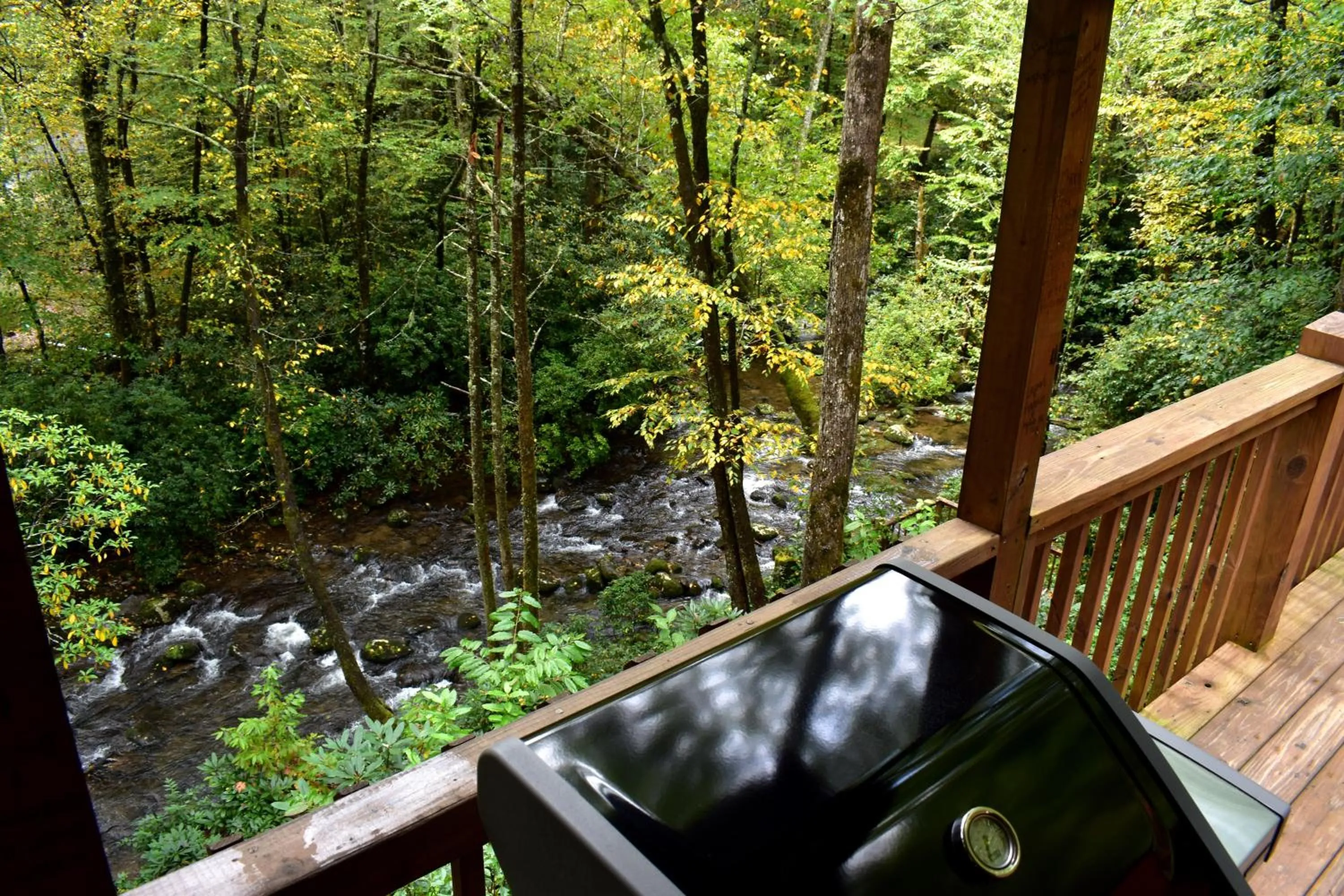 Natural landscape in The Junction