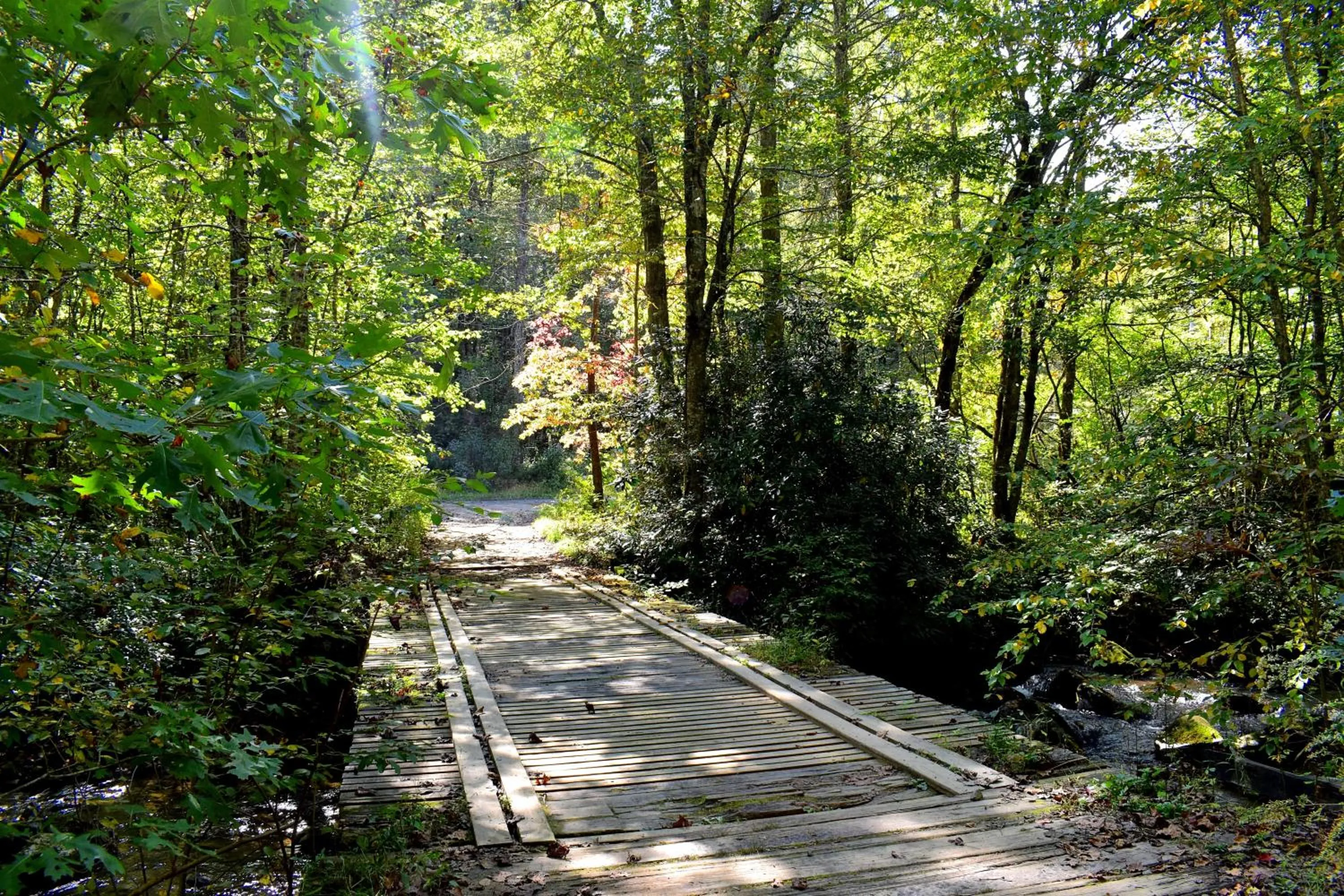 Neighbourhood in The Junction