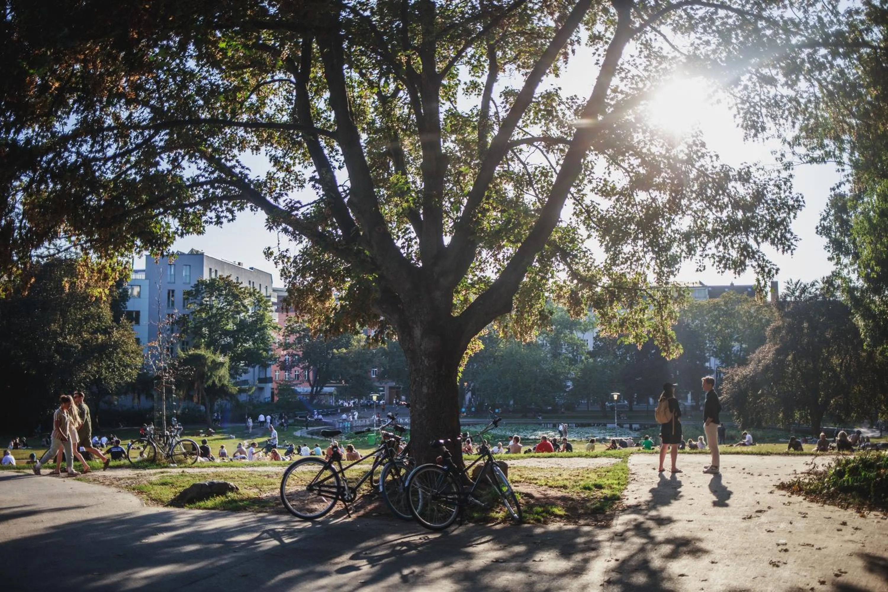 Neighbourhood in The Circus Apartments
