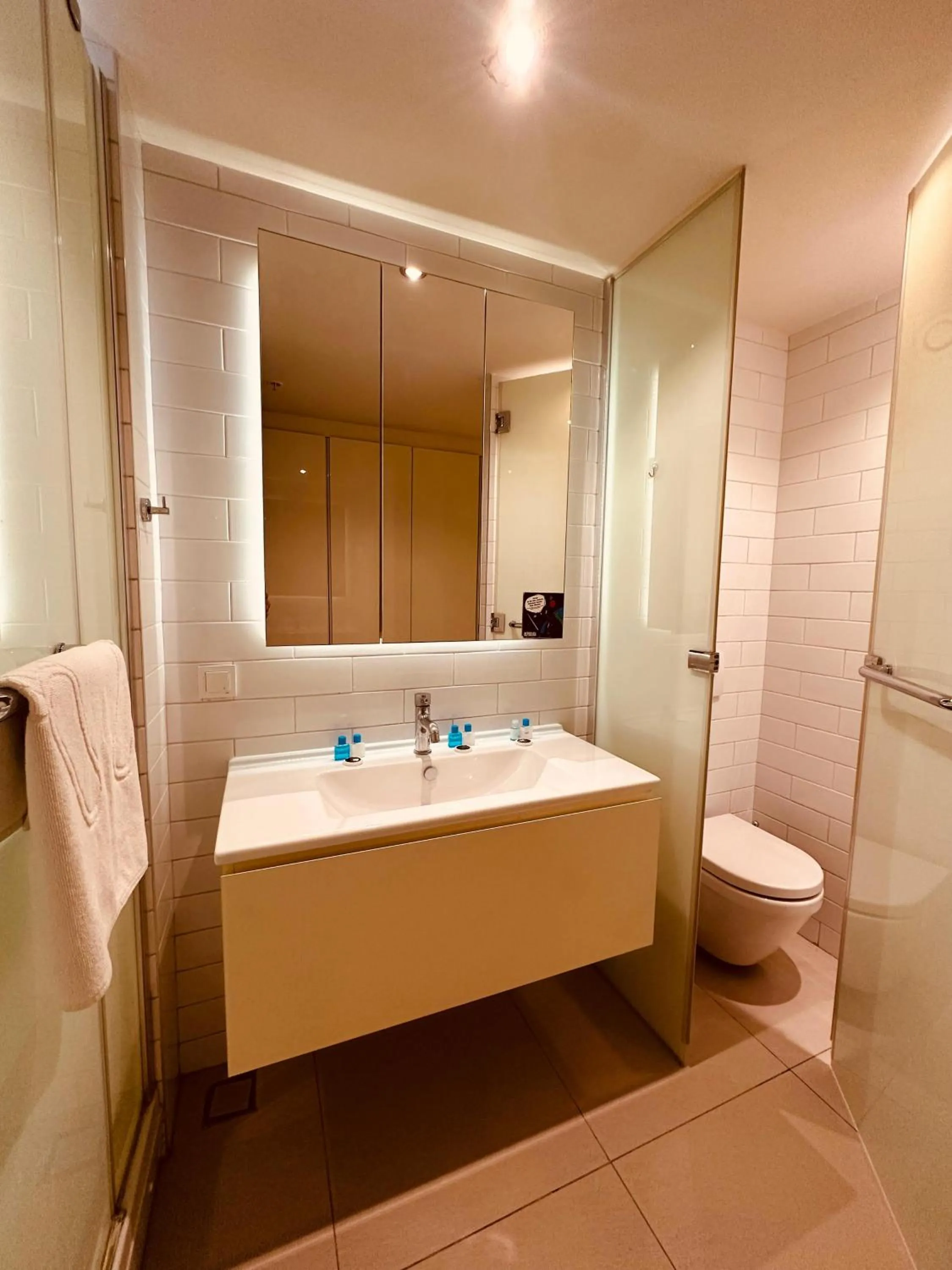 Toilet in Ortakoy Aparts