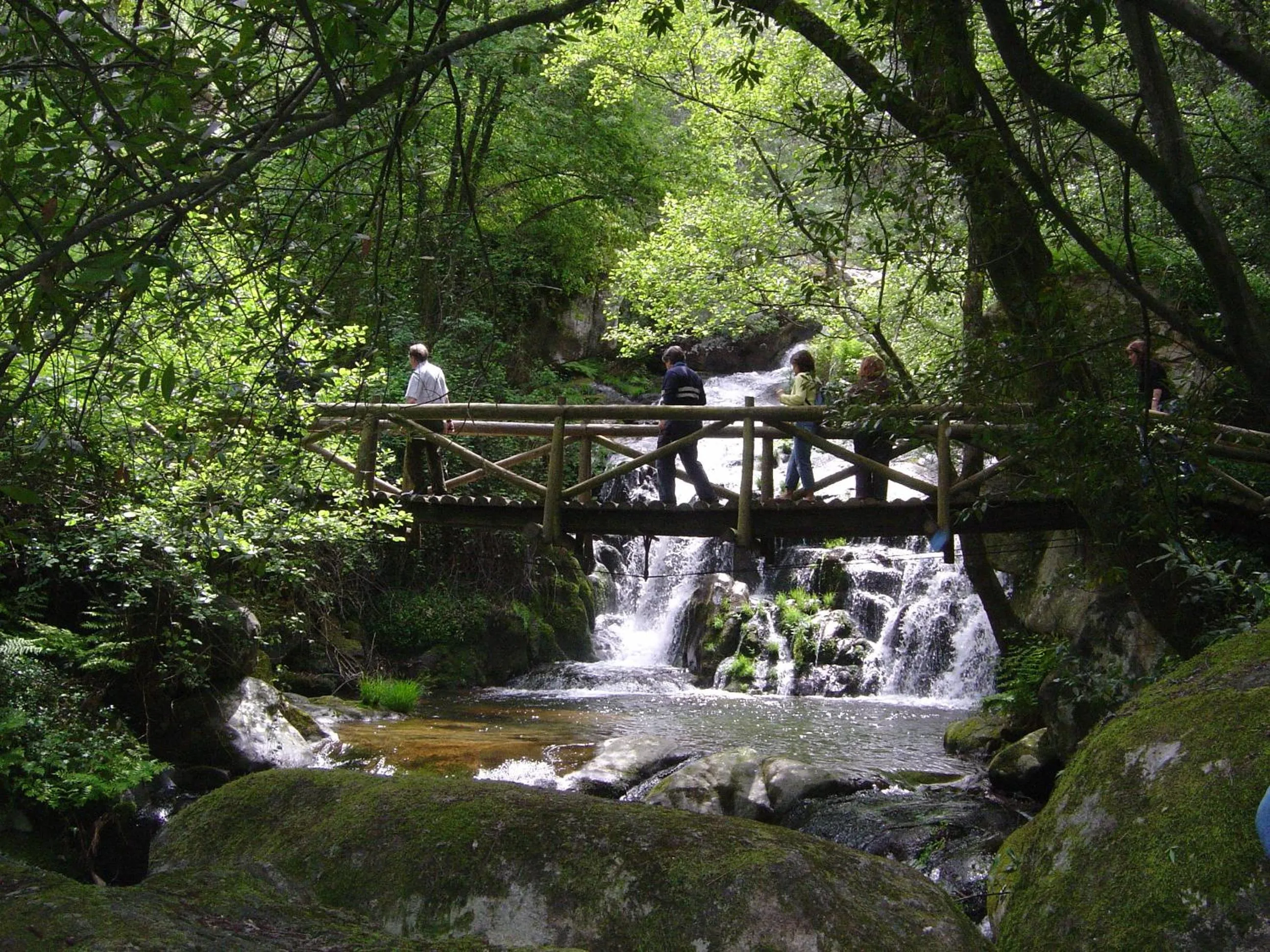 Spring in Douro Hotel Porto Antigo