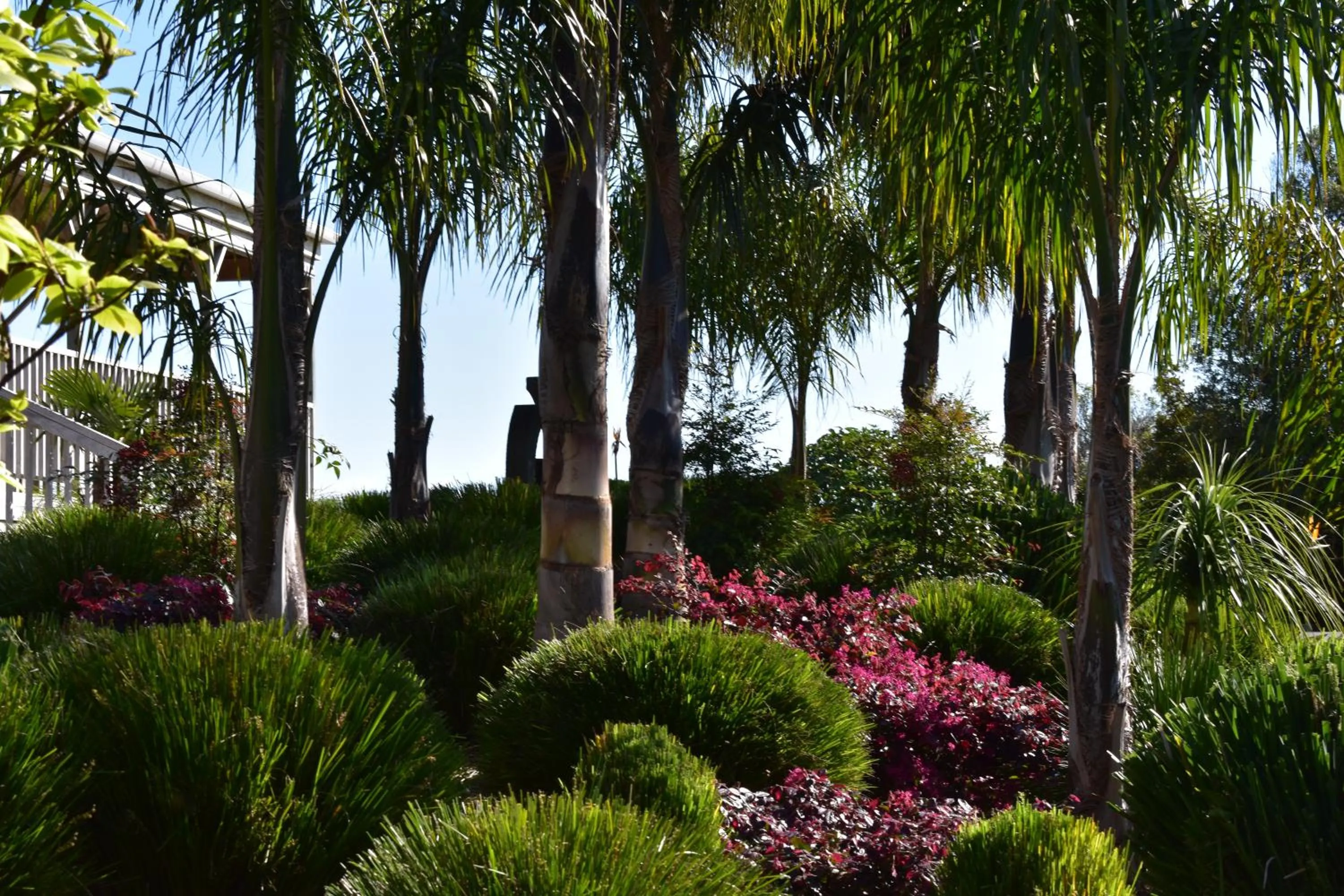 Garden in Atea Lodge