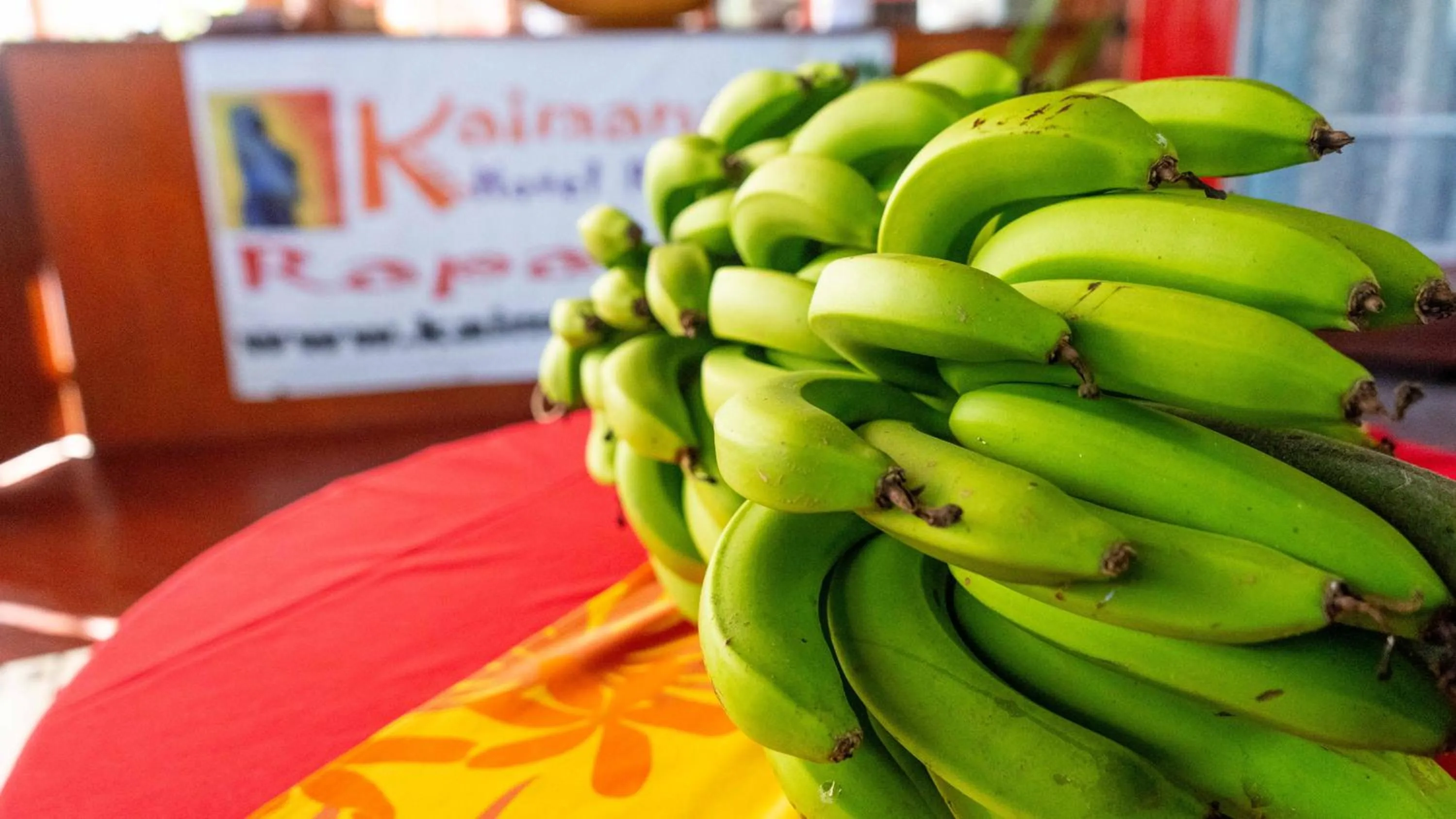 Kaimana Inn Rapa Nui