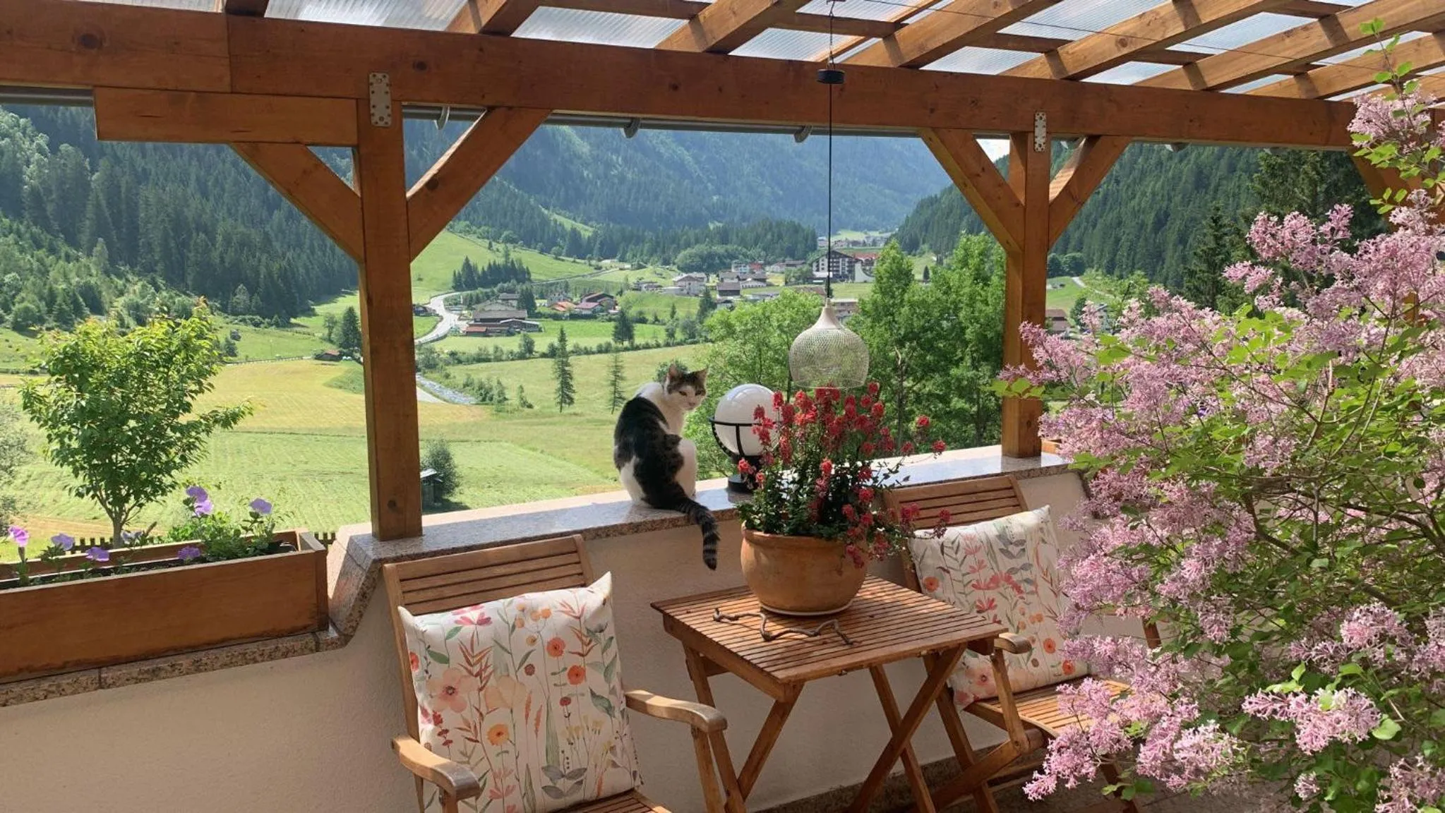 Balcony/Terrace in Apart Sonnenheim