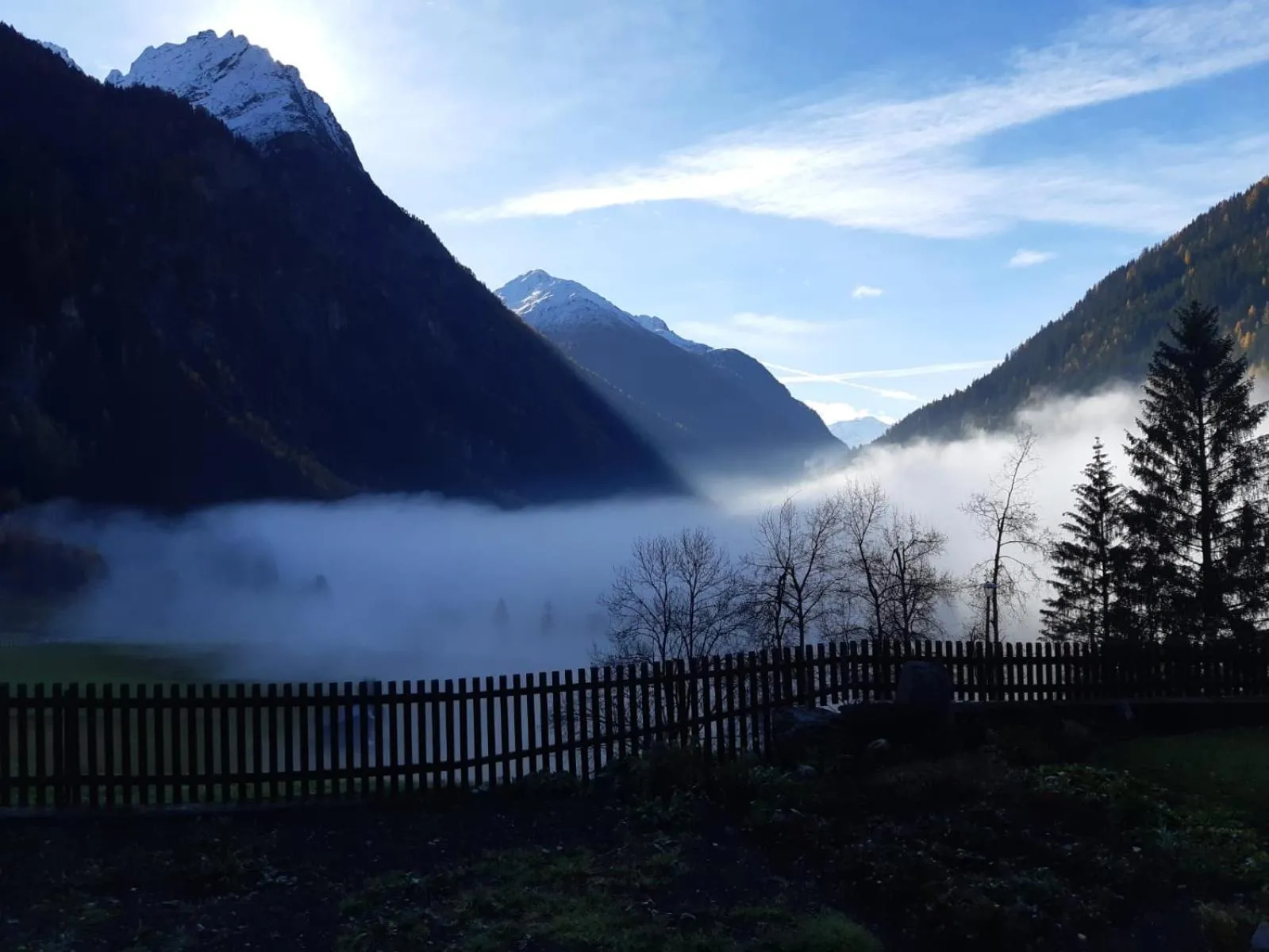 View (from property/room) in Apart Sonnenheim