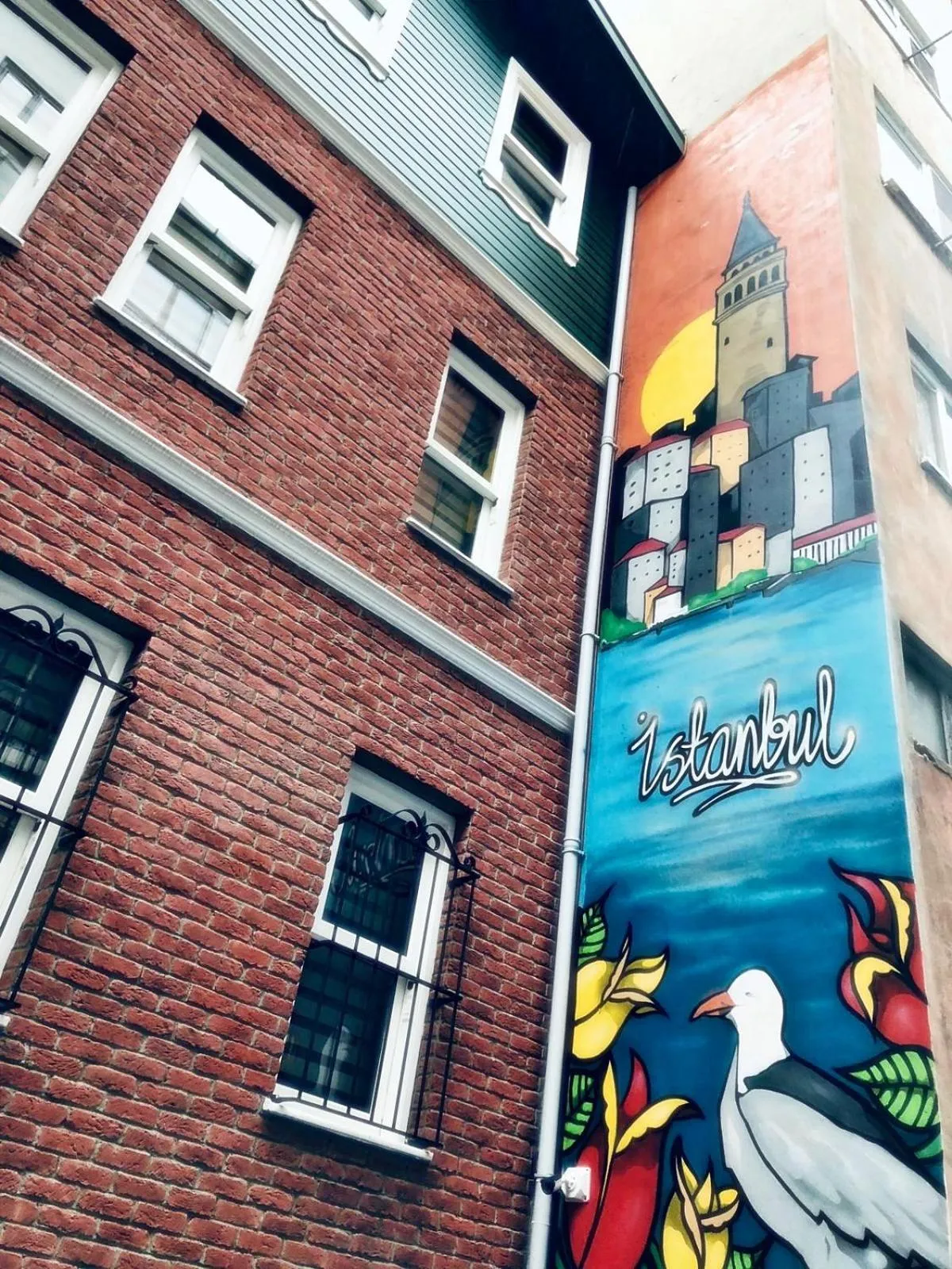 Garden in Belizia Hotel