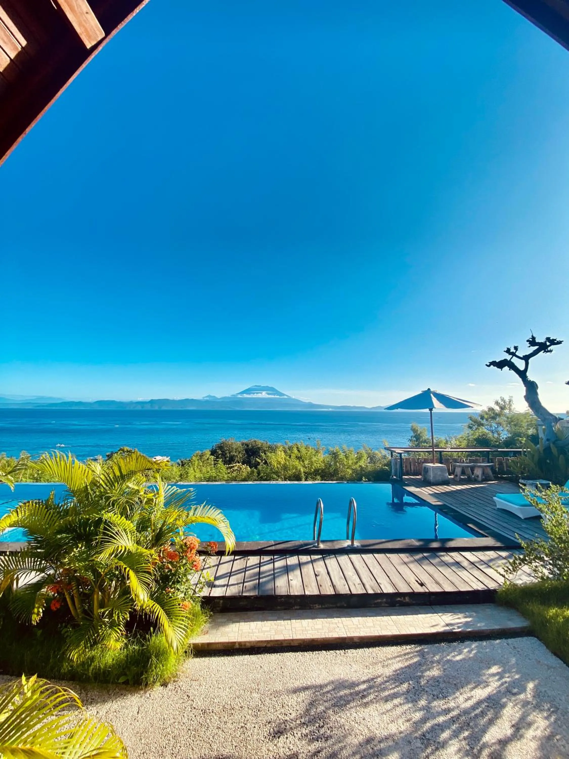 Day in Daphila Cottage