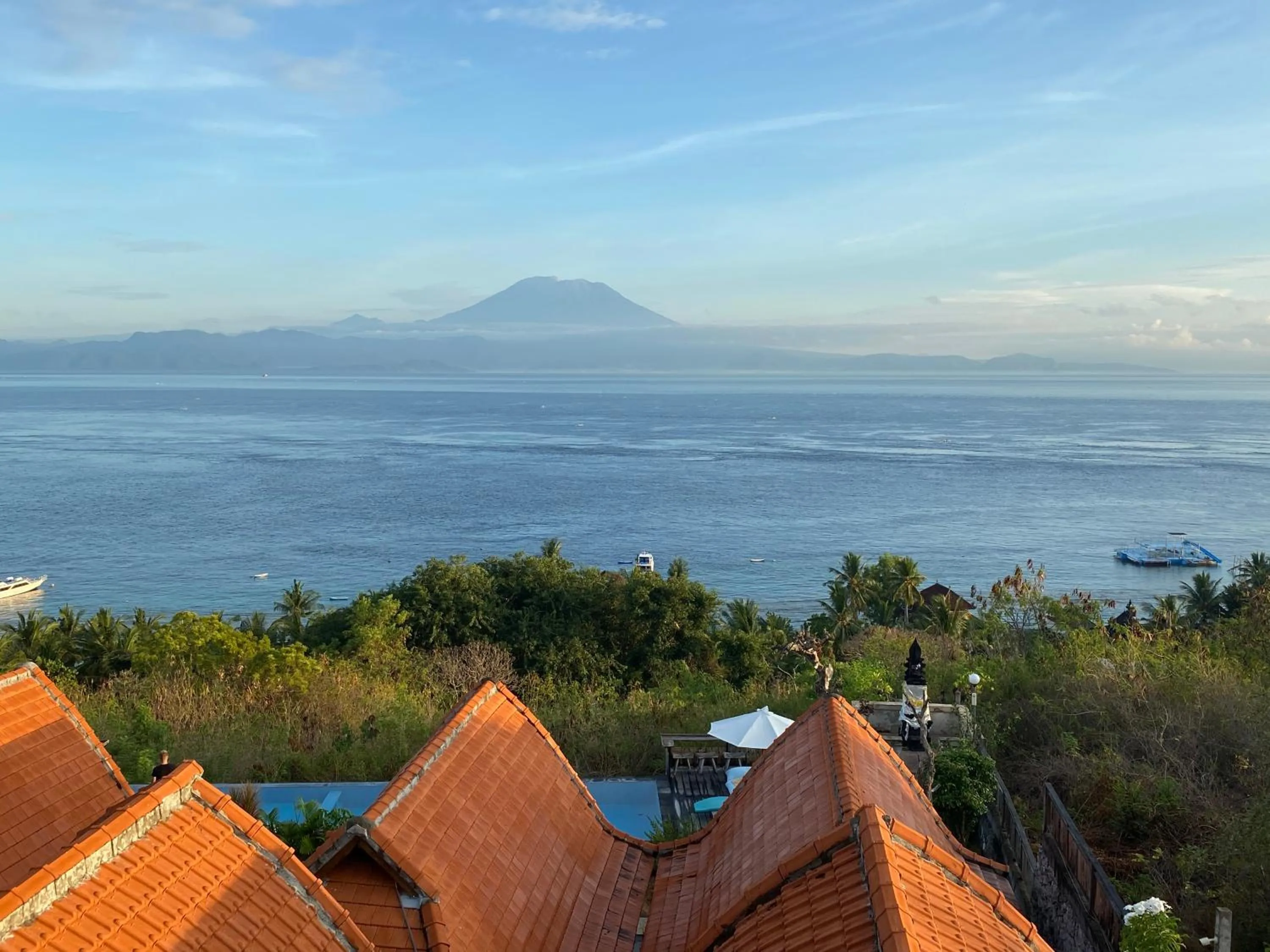 Day in Daphila Cottage