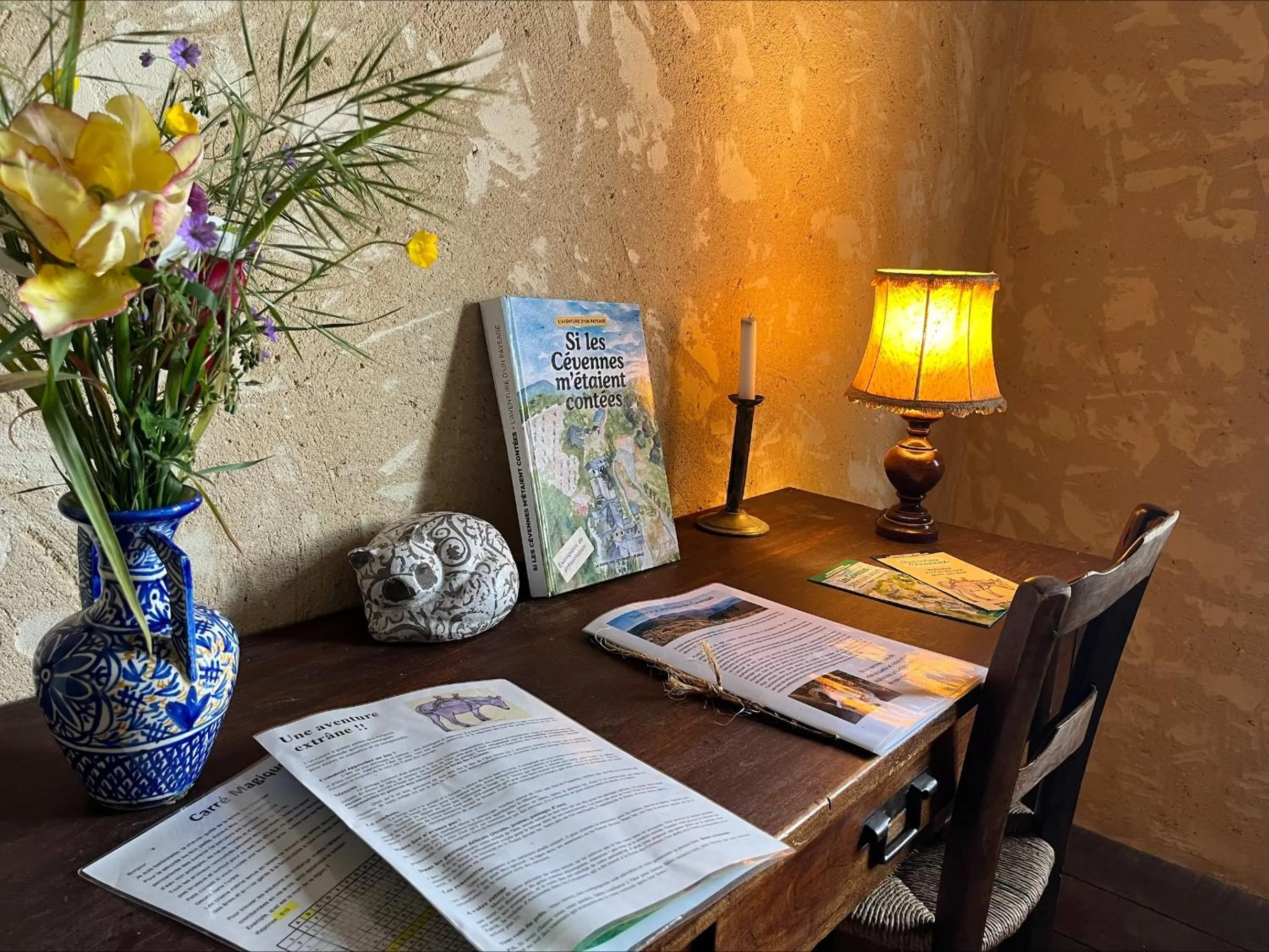 Double Room - single occupancy in La ferme des Cévennes