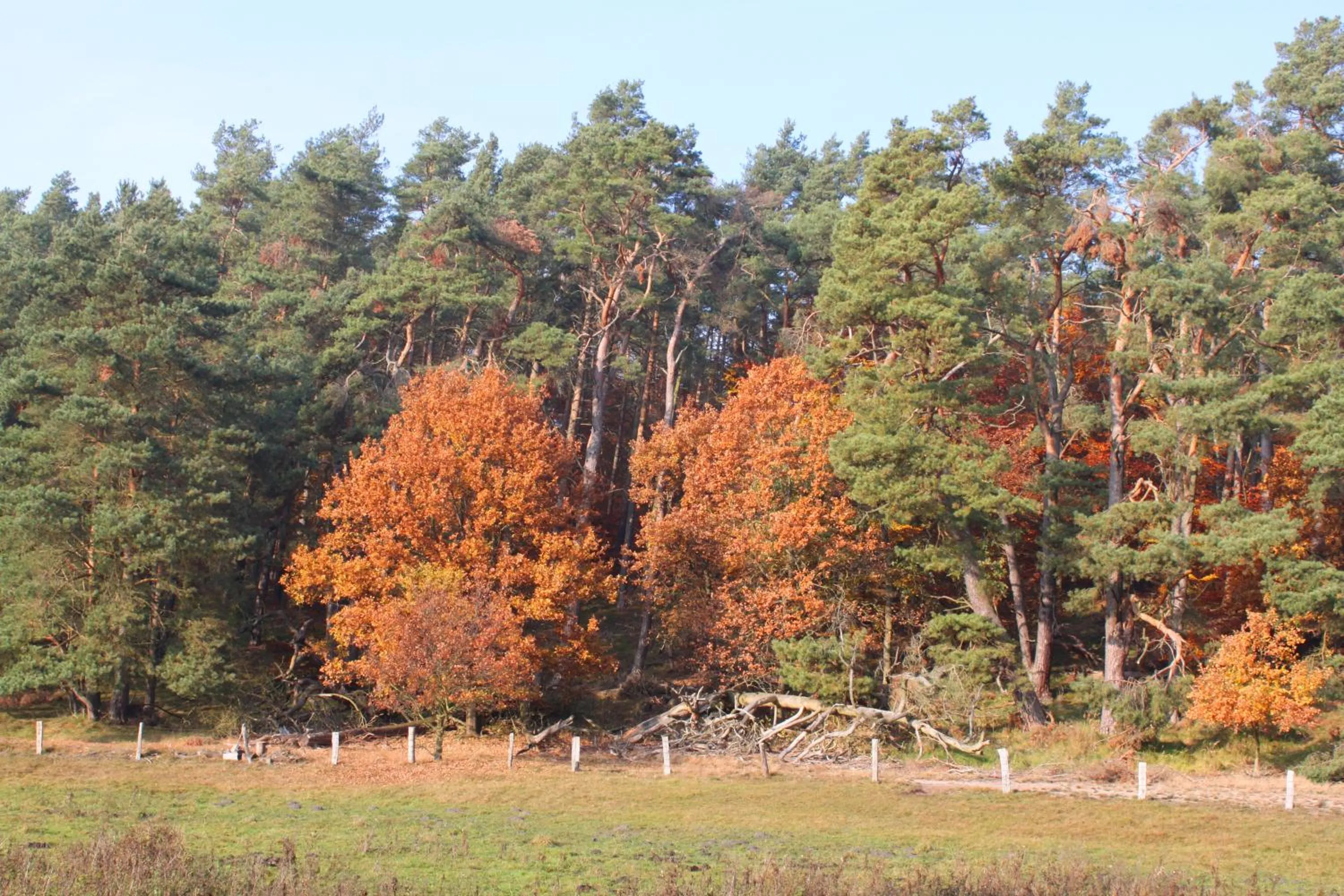 Nearby landmark in Hotel Müritz-Park