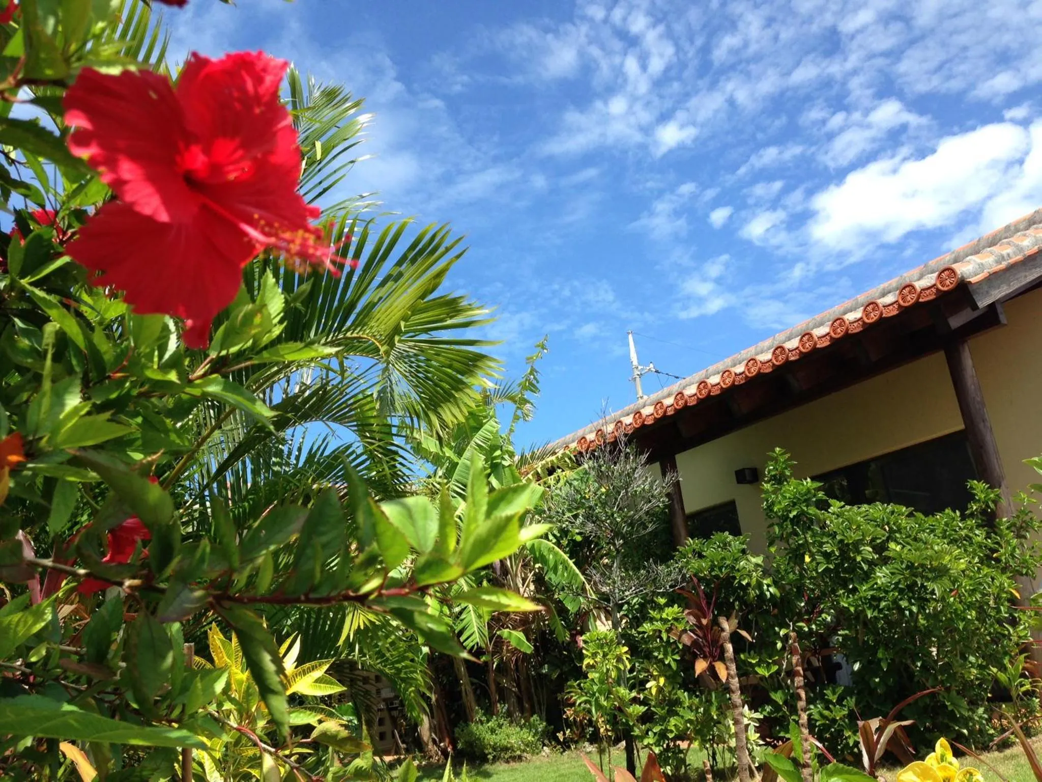 Property building in Akachichi Guesthouse