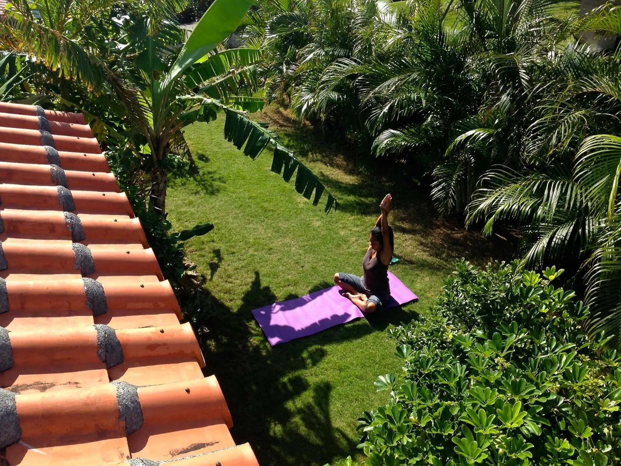Garden in Akachichi Guesthouse
