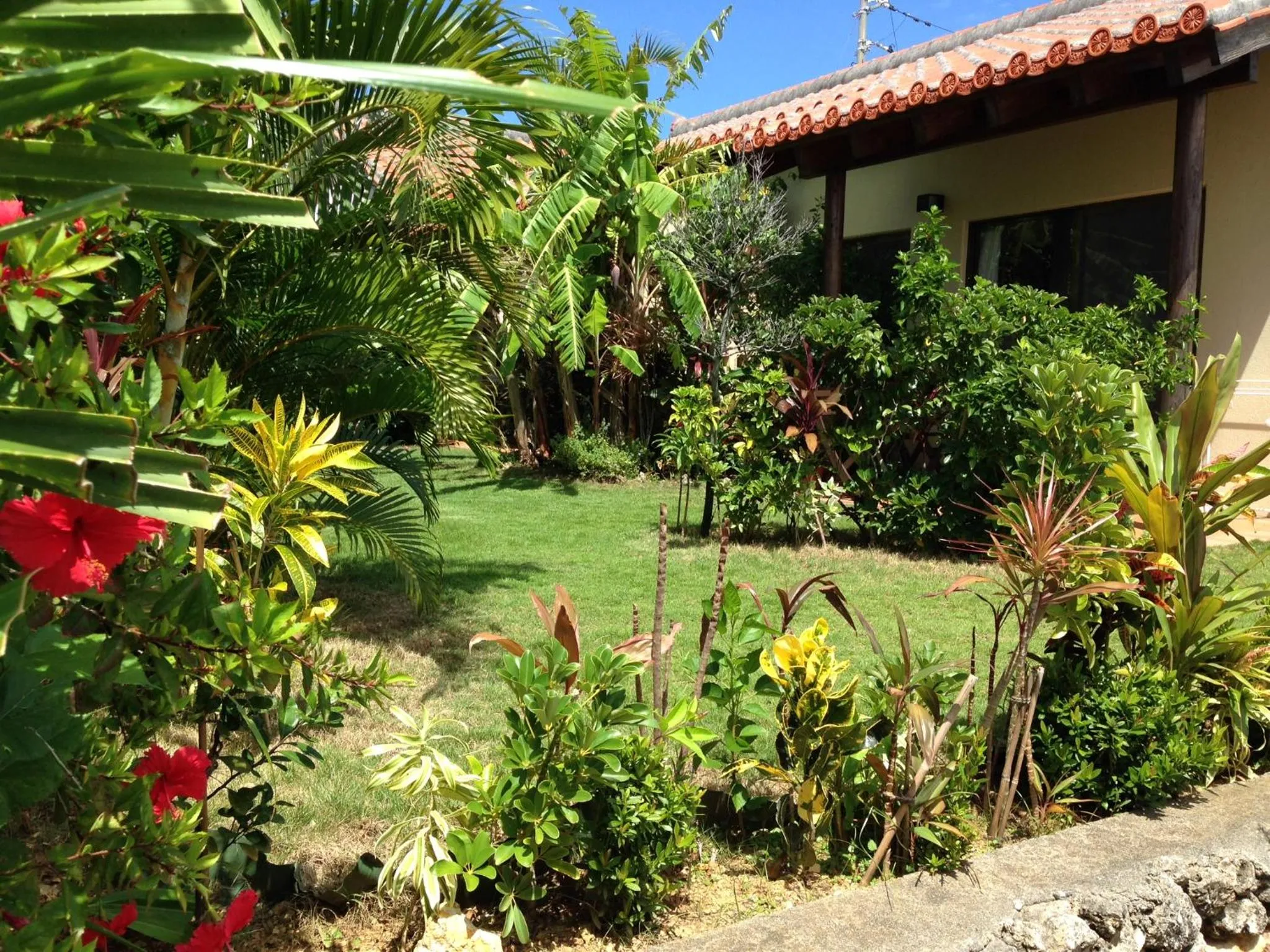 Property building in Akachichi Guesthouse