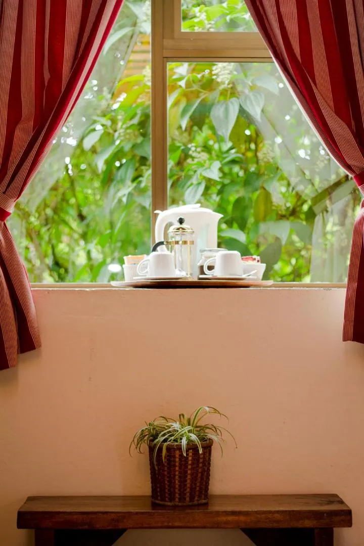 Garden in Poas Volcano Lodge