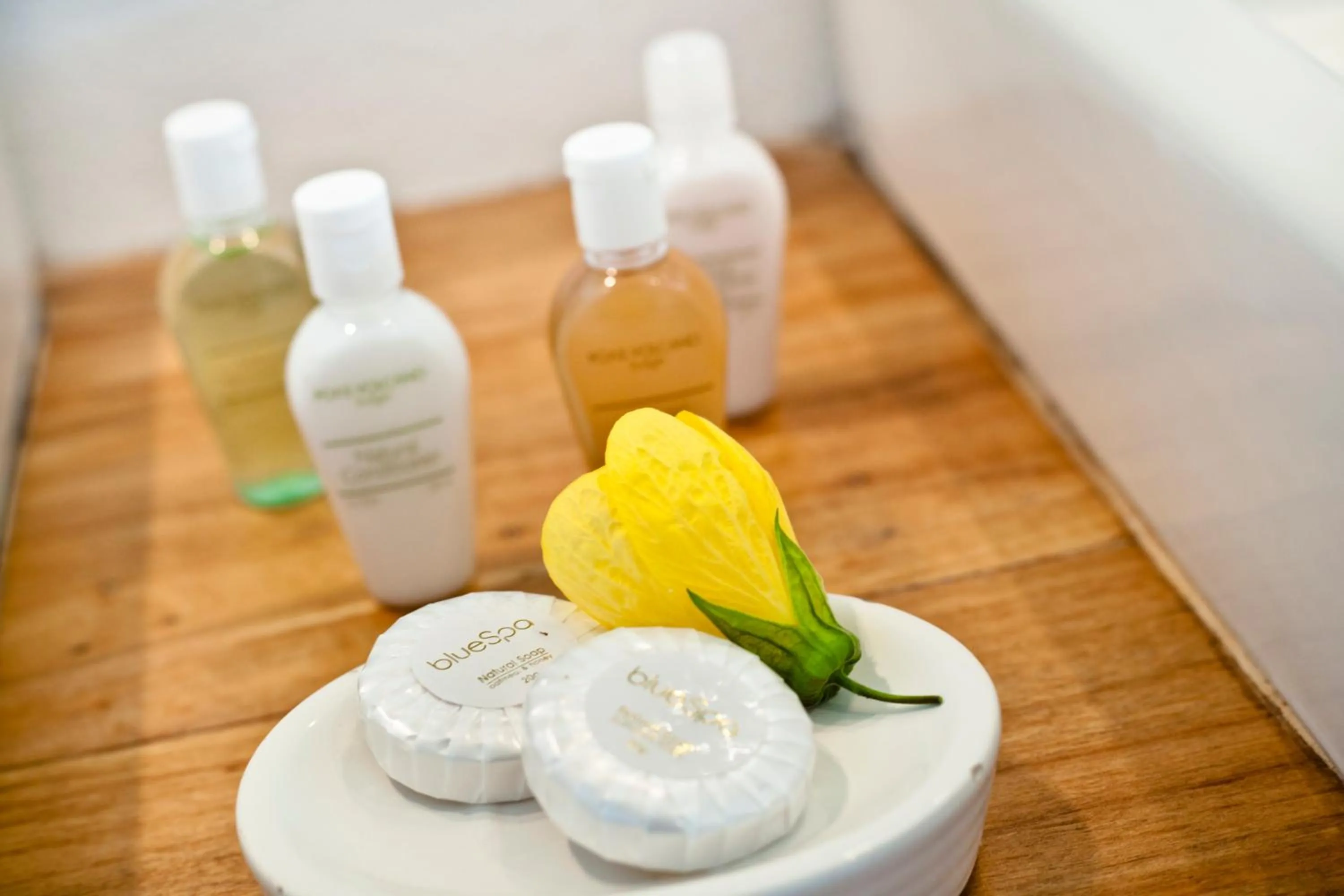 Decorative detail in Poas Volcano Lodge