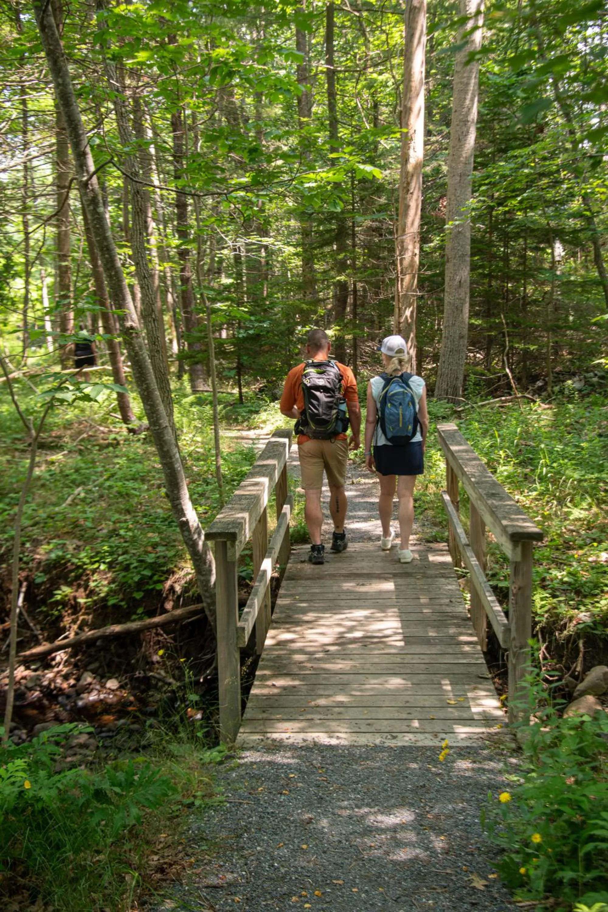 Natural landscape in Acadia Inn