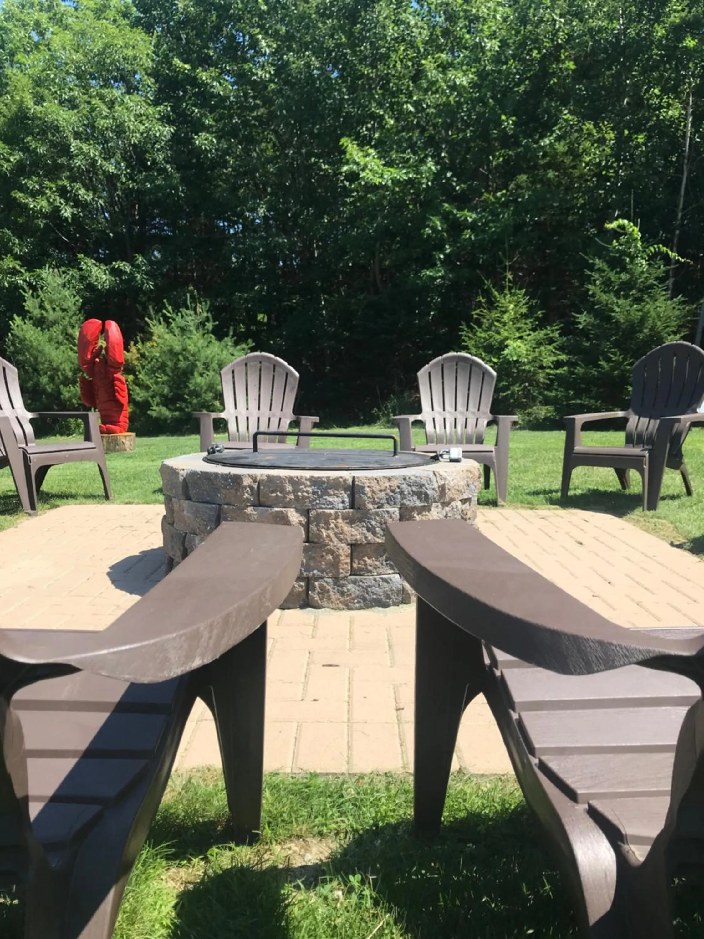 Area and facilities in Acadia Inn