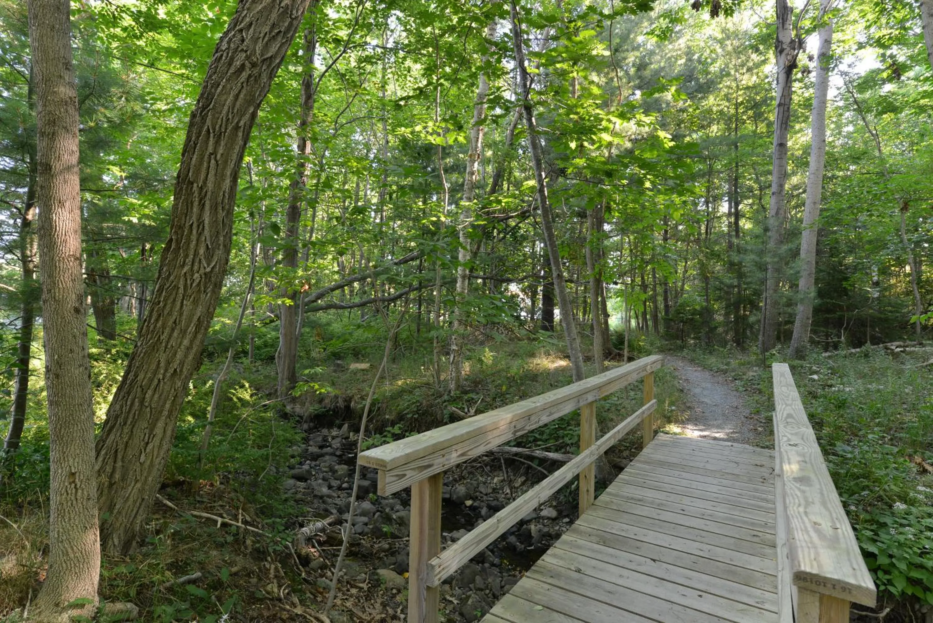 Hiking in Acadia Inn