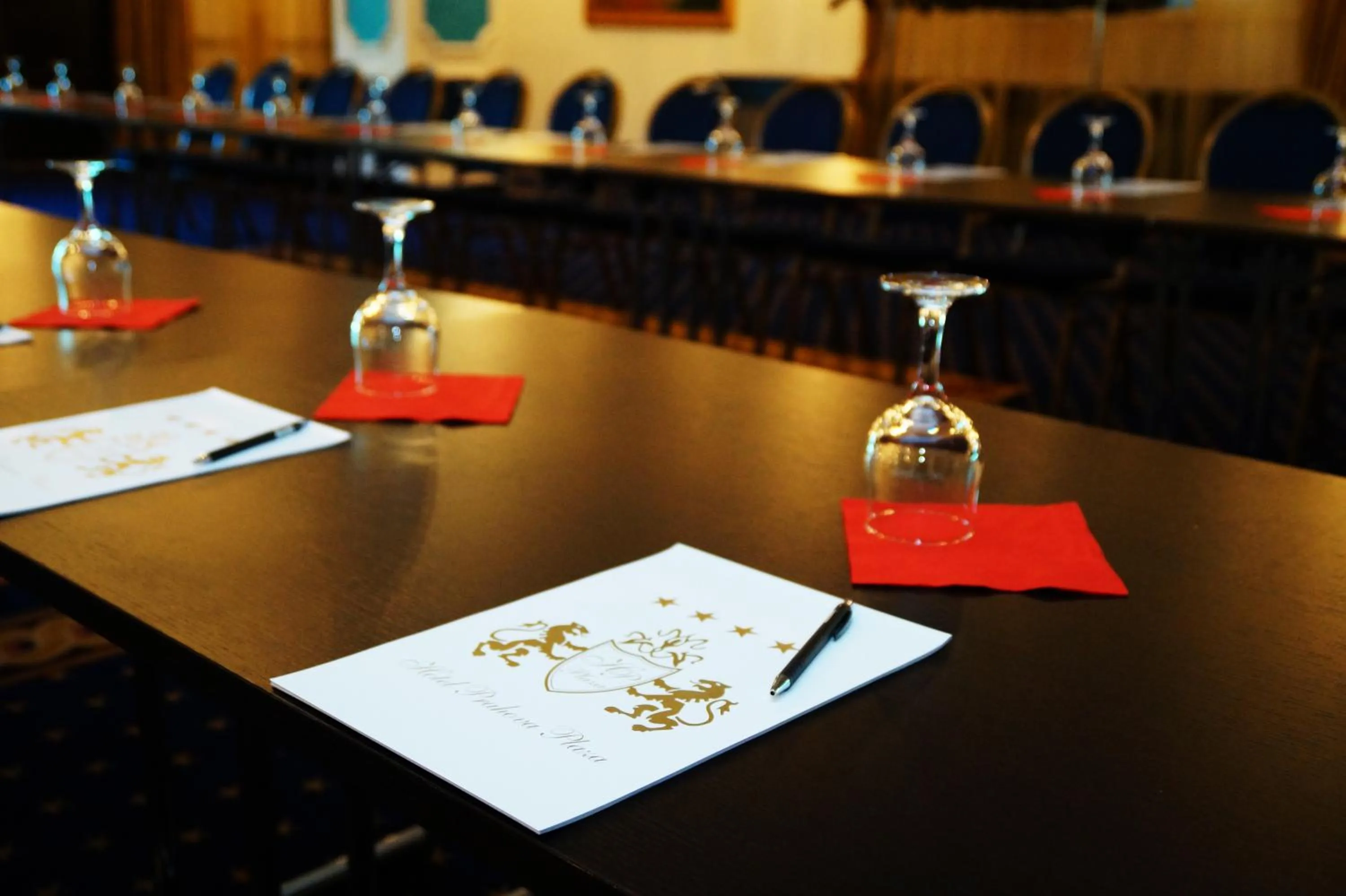 Business facilities in Hotel Prahova Plaza