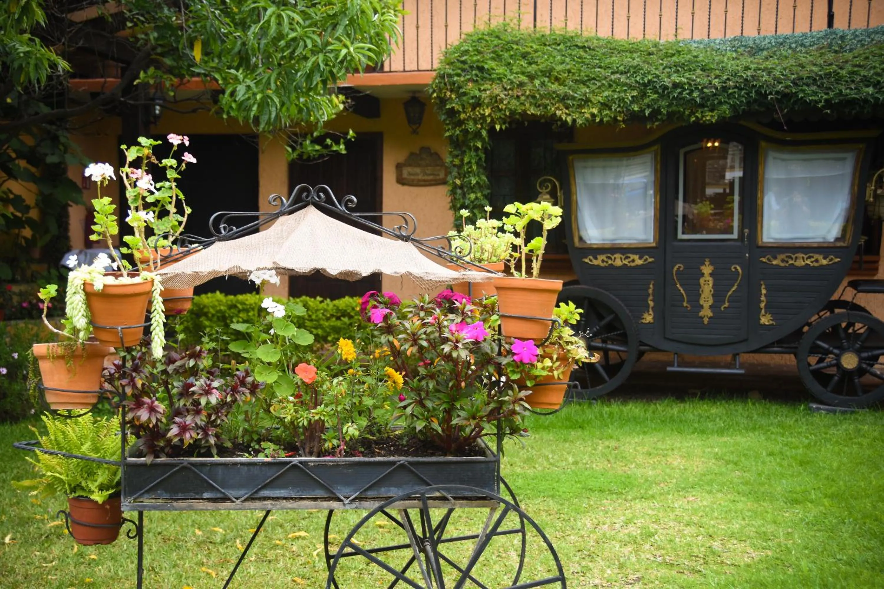 Garden view in Nuestras Raíces Hotel - Museo - Restaurante