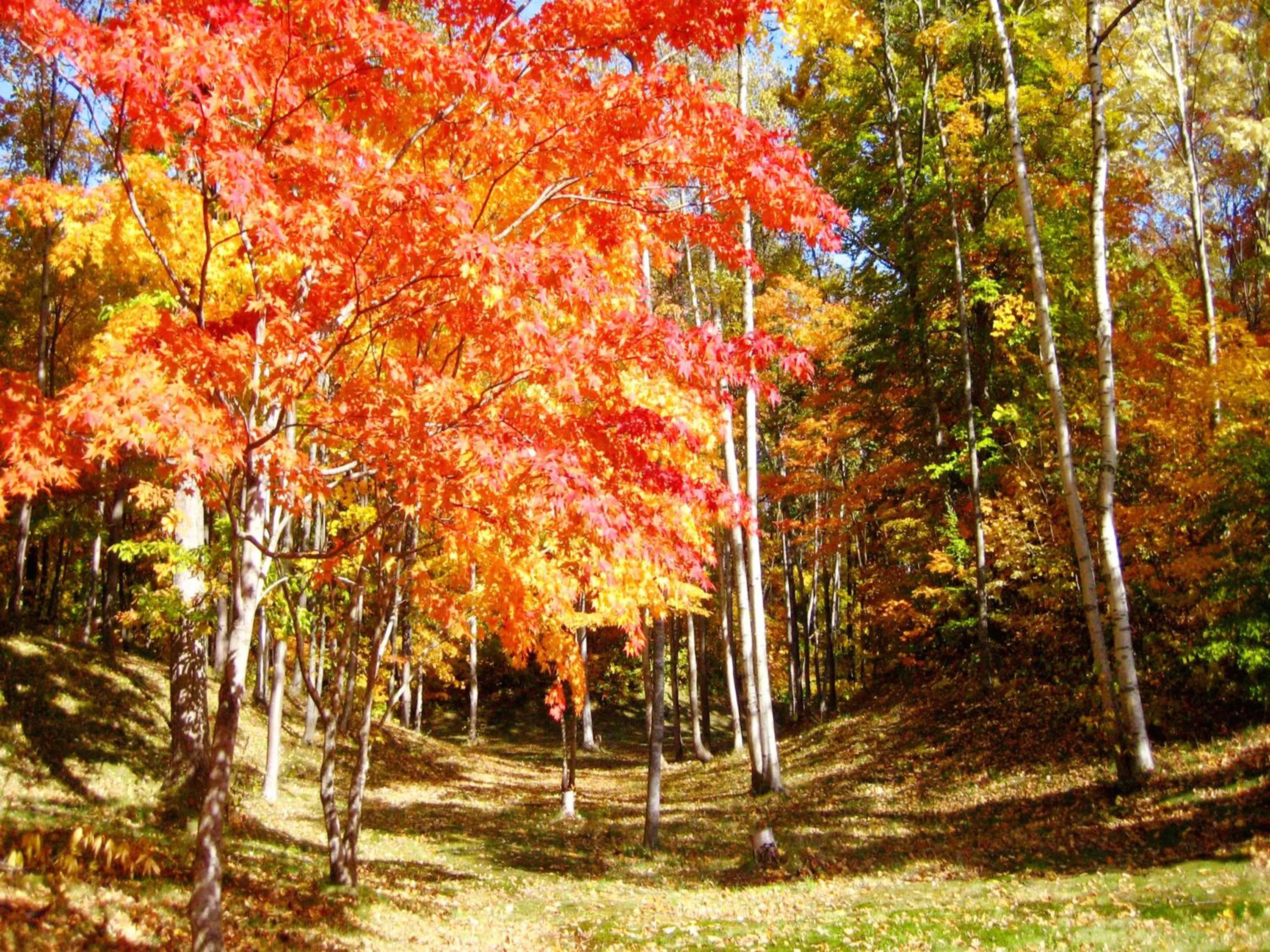 Natural landscape in Hakodate-Onuma Prince Hotel