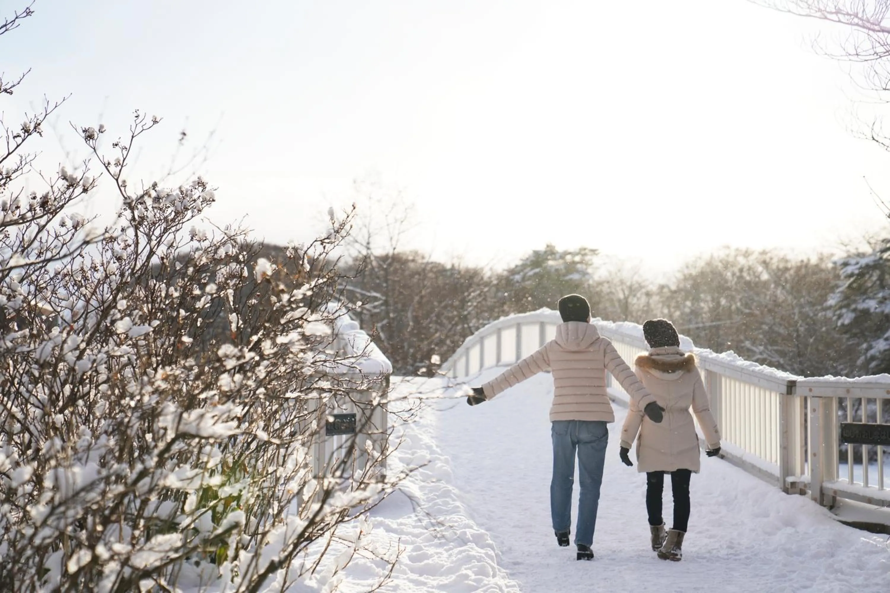 Natural landscape in Hakodate-Onuma Prince Hotel