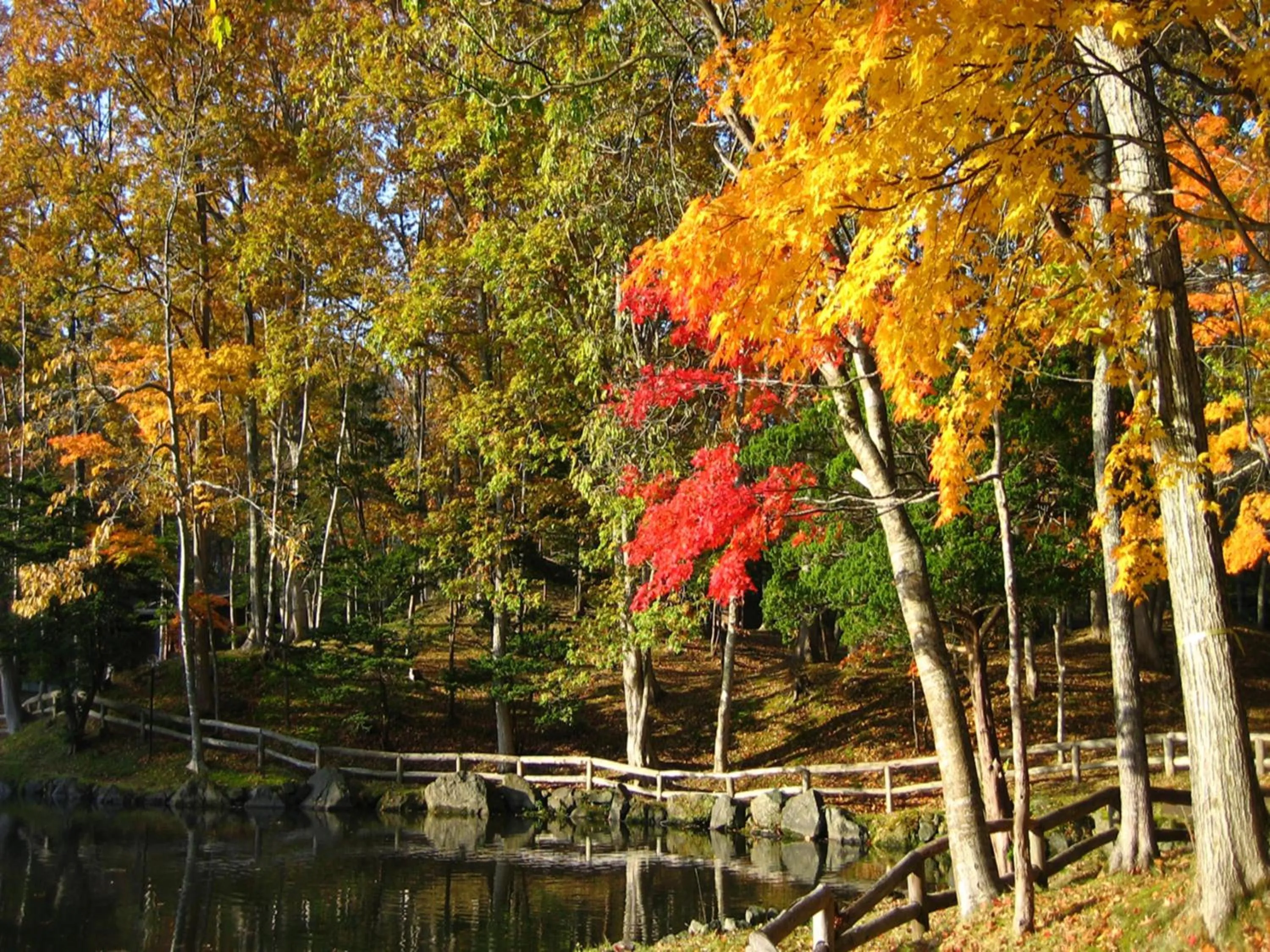 Natural landscape in Hakodate-Onuma Prince Hotel