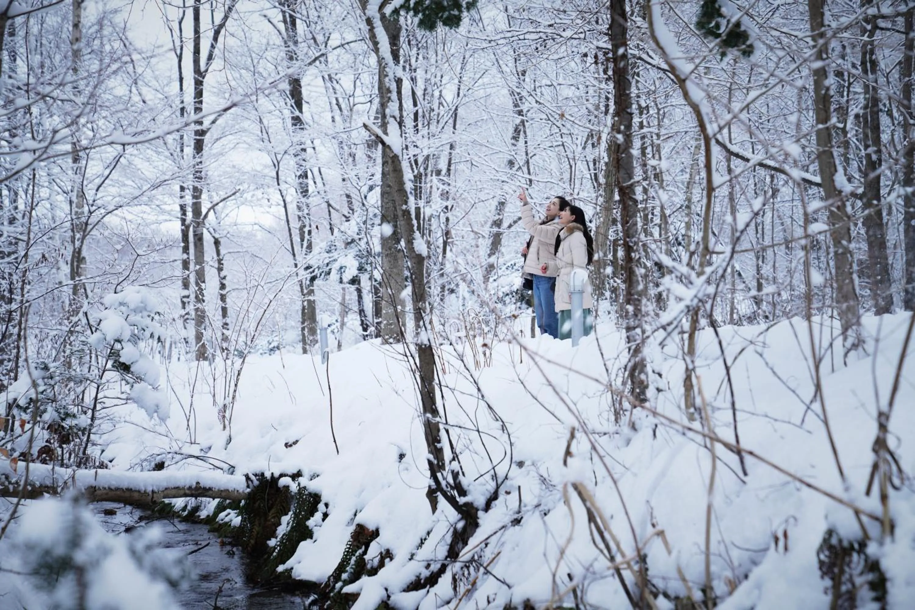 Natural landscape in Hakodate-Onuma Prince Hotel