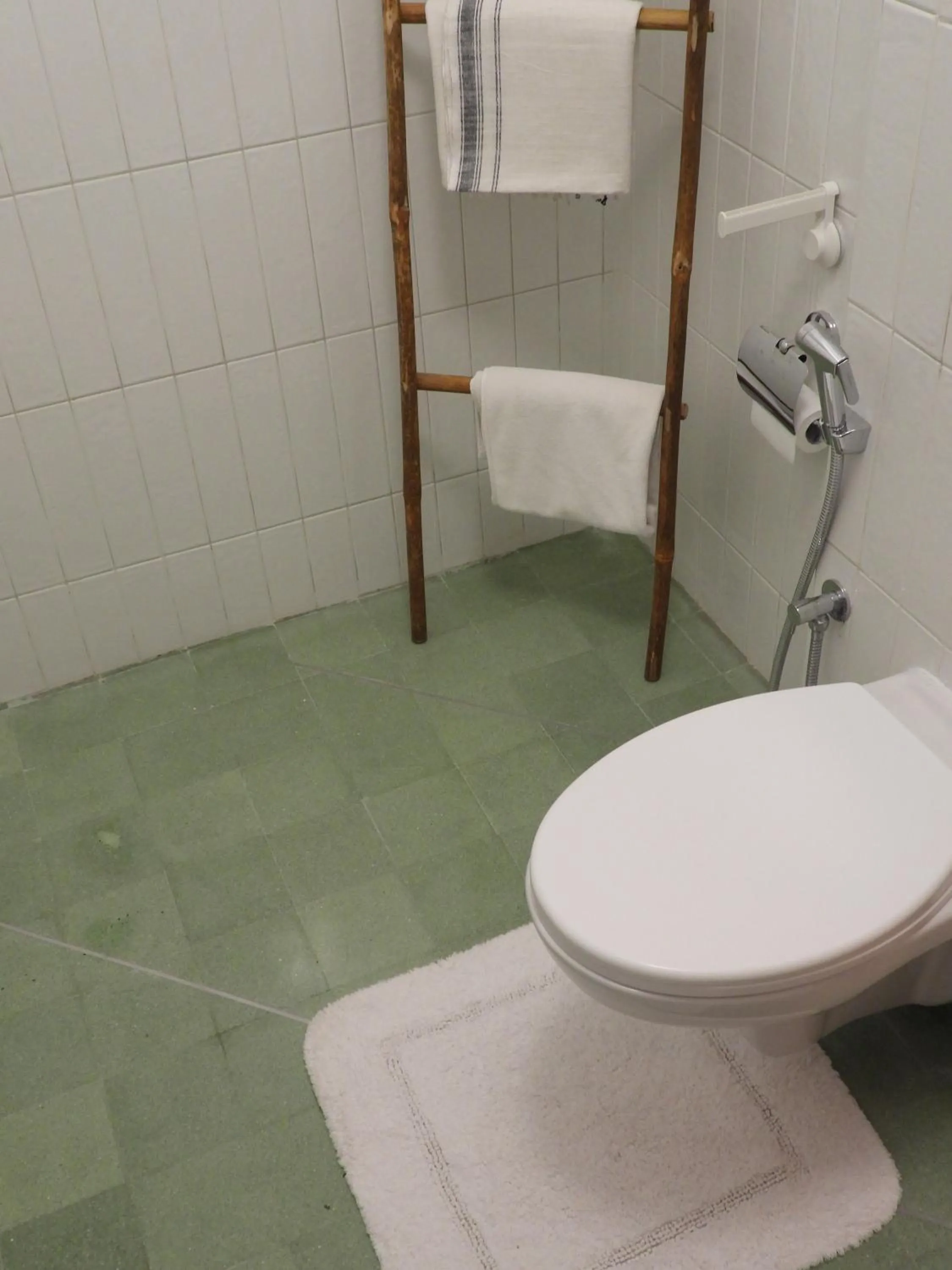 Toilet in The Stepwell Hotel