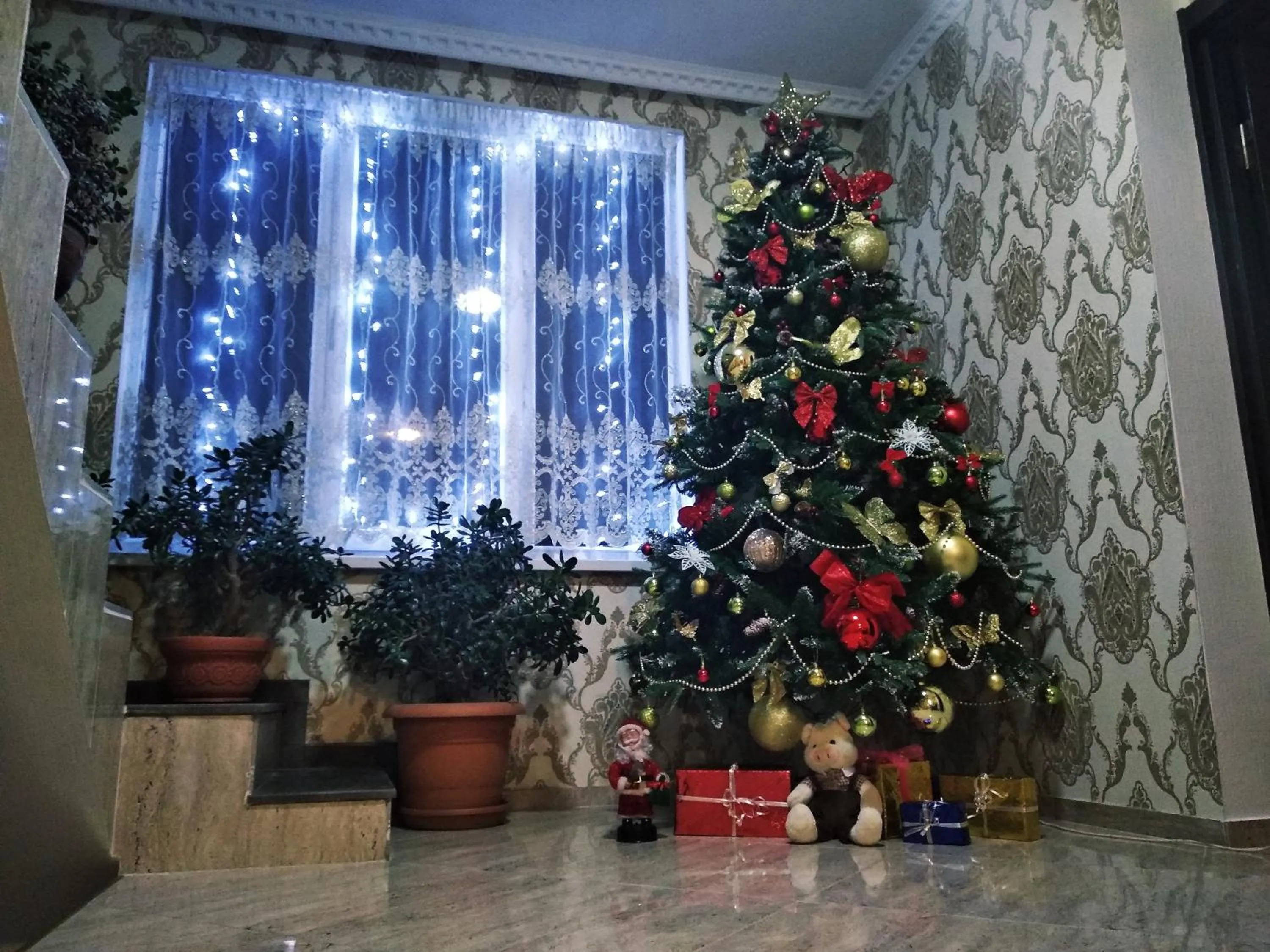 Sophia's GuestHouse