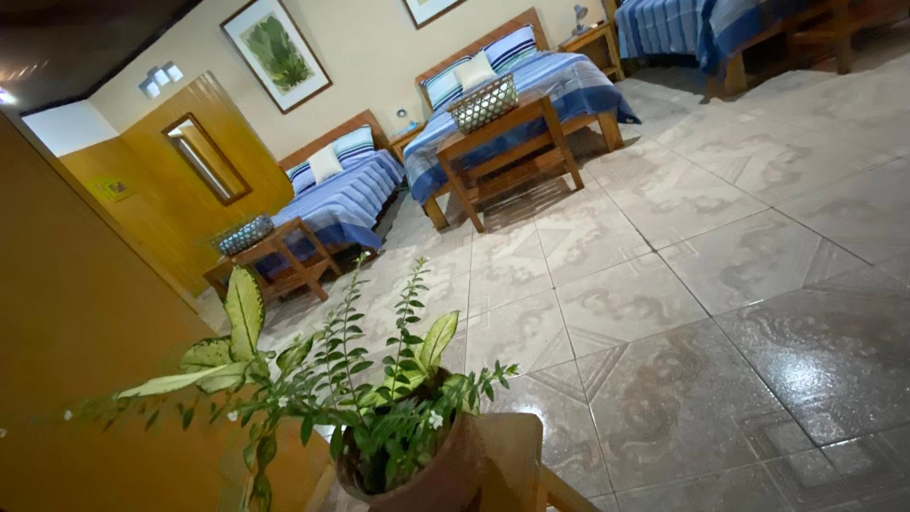Photo of the whole room in Poseidon Guest House