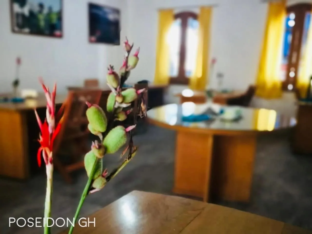 Dining area in Poseidon Guest House