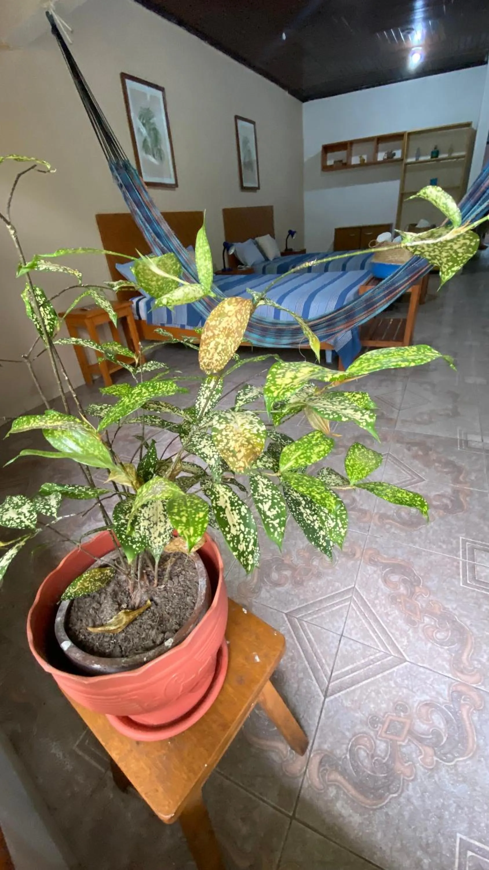View (from property/room) in Poseidon Guest House