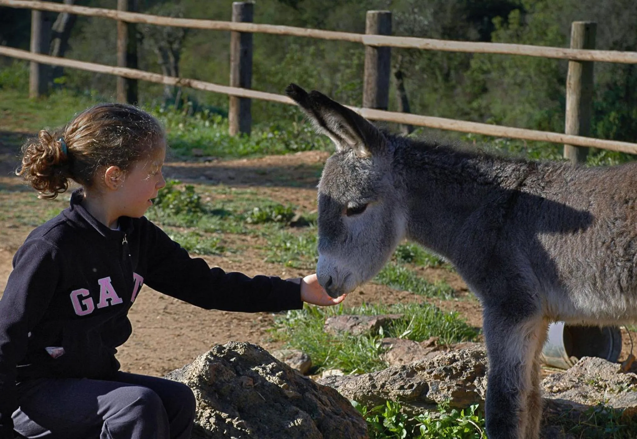 Day in Quinta do Chocalhinho Agroturismo & SPA