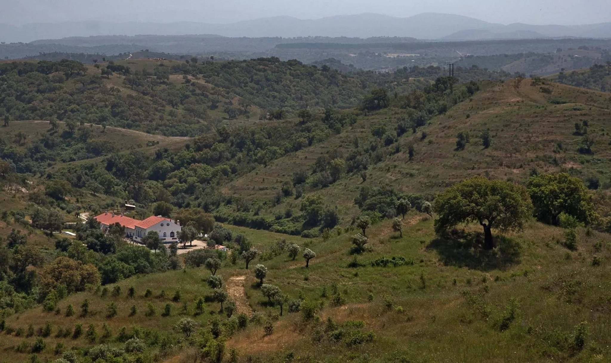 Day in Quinta do Chocalhinho Agroturismo & SPA