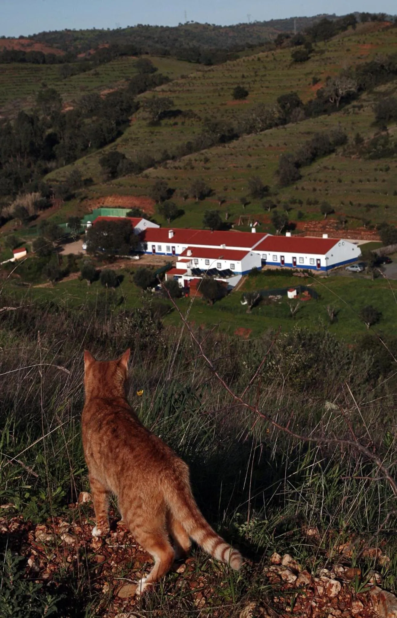Property building in Quinta do Chocalhinho Agroturismo & SPA